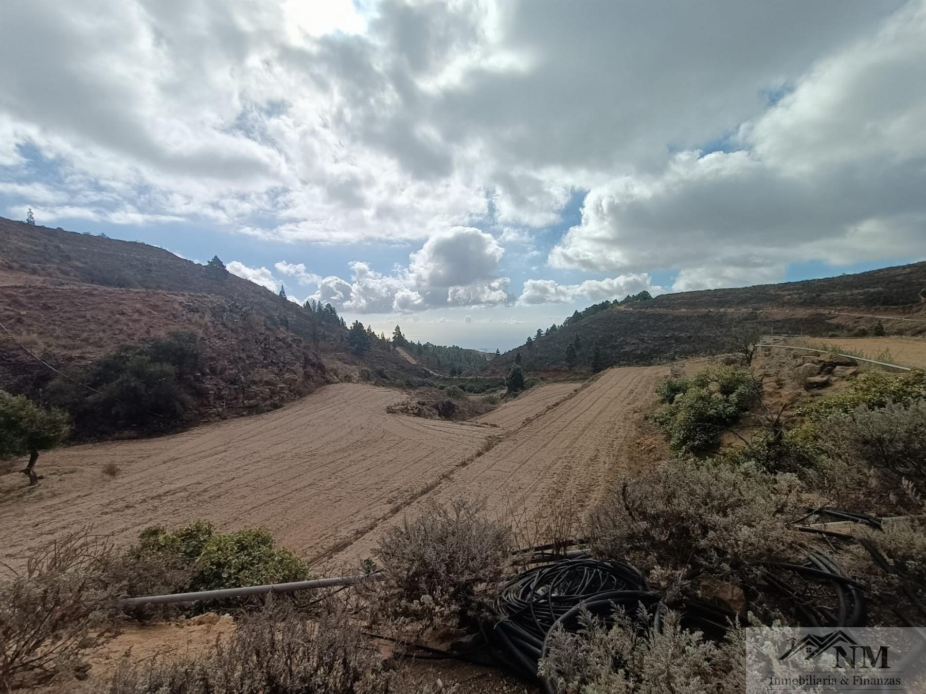 Venta de finca rústica en Granadilla de Abona