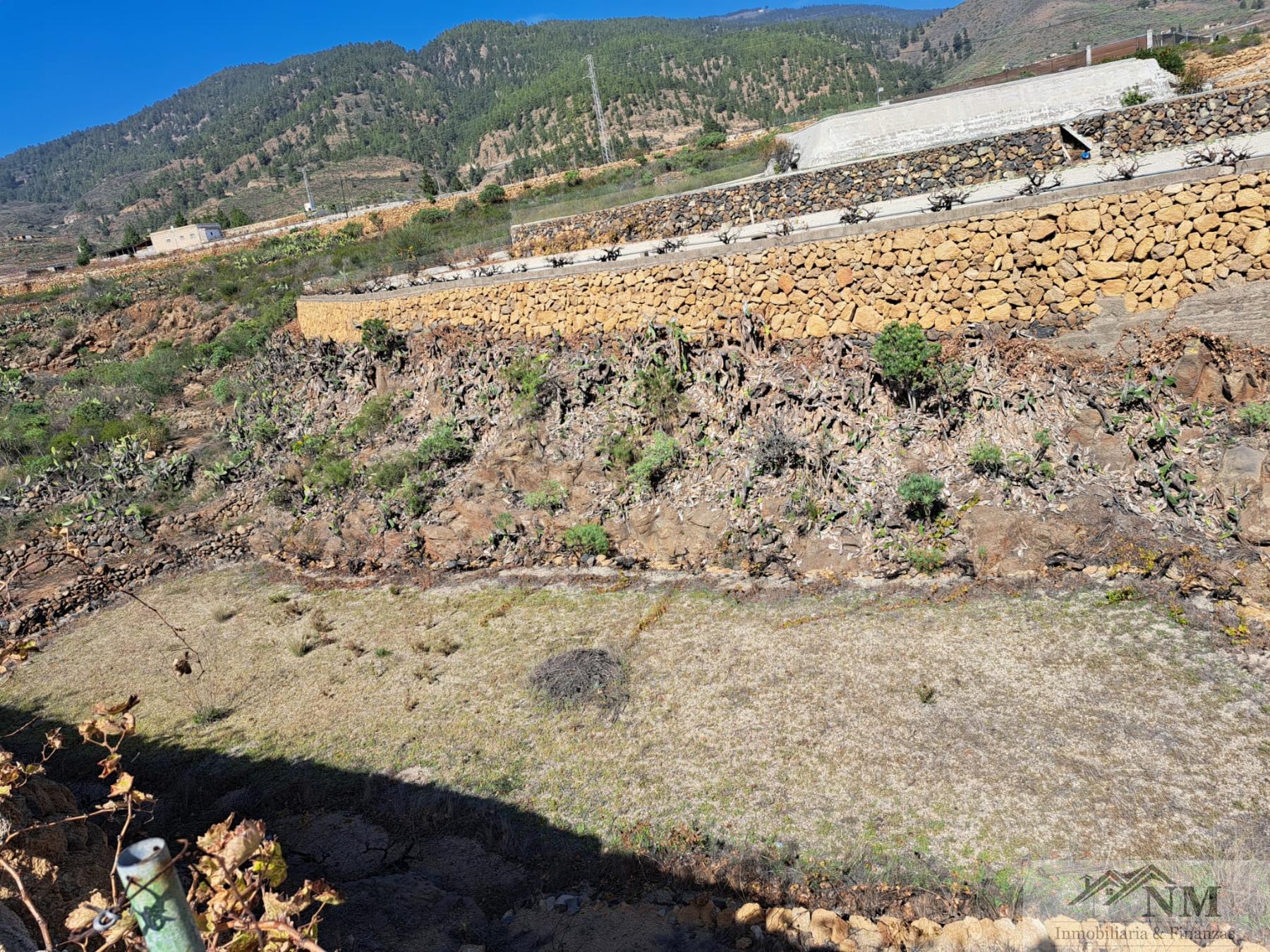 Venta de finca rústica en Granadilla de Abona