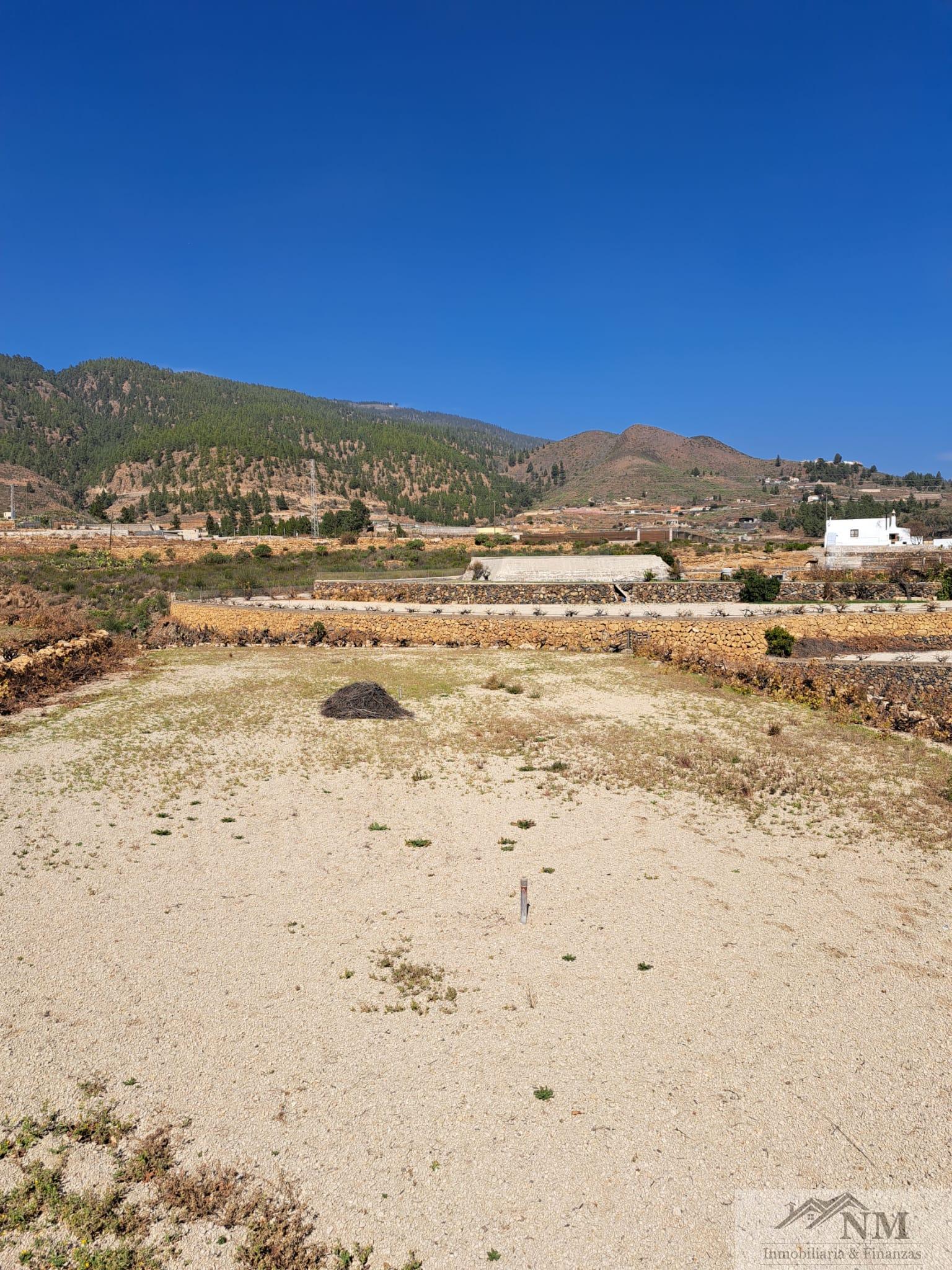 Venta de finca rústica en Granadilla de Abona