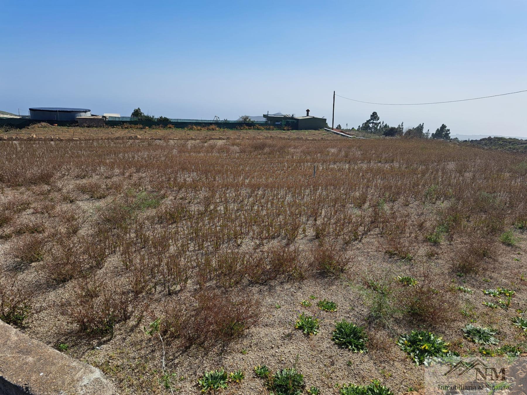 Venta de finca rústica en Granadilla de Abona