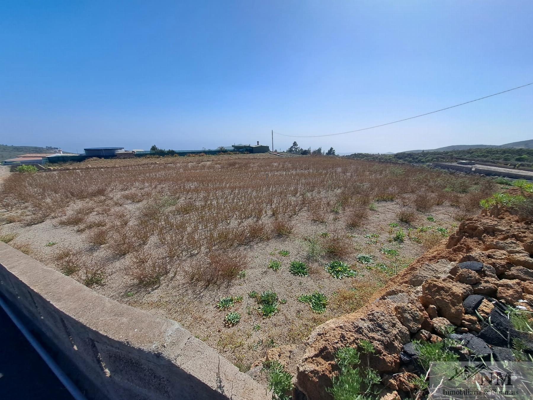 Venta de finca rústica en Granadilla de Abona