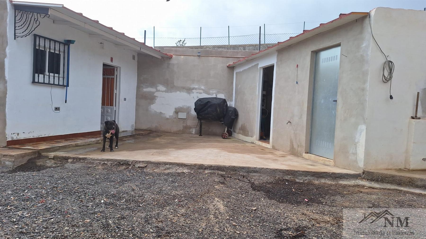 Venta de finca rústica en Granadilla de Abona