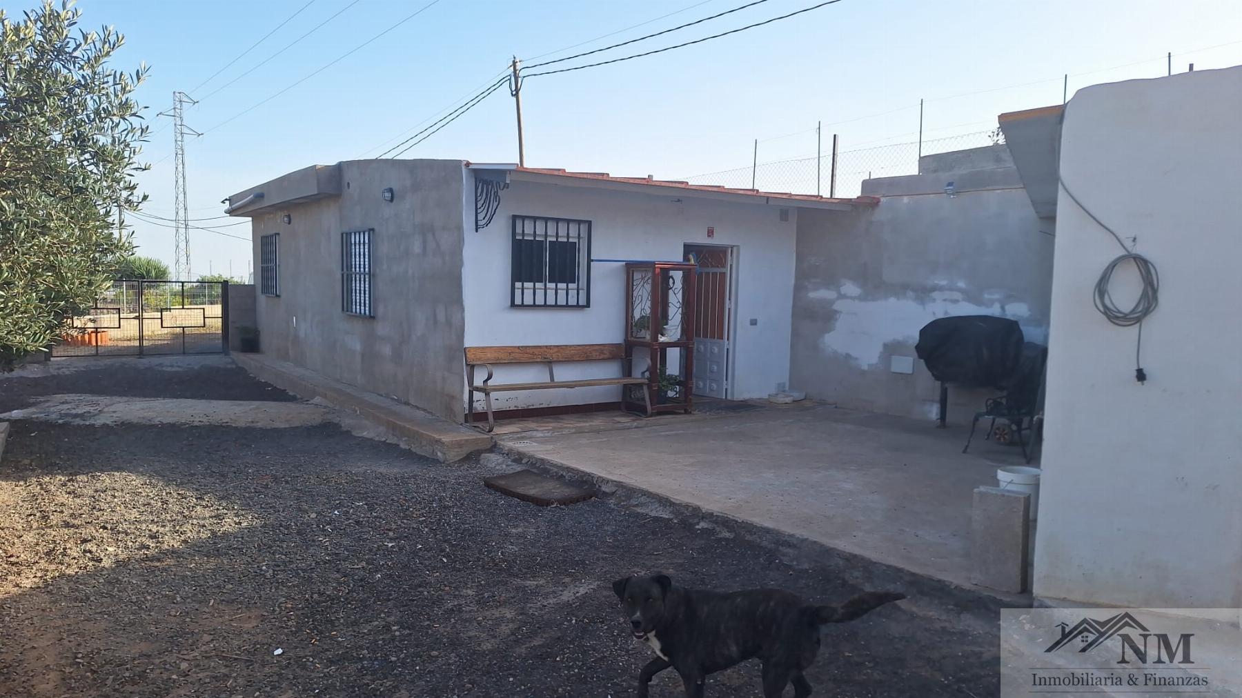 Venta de finca rústica en Granadilla de Abona