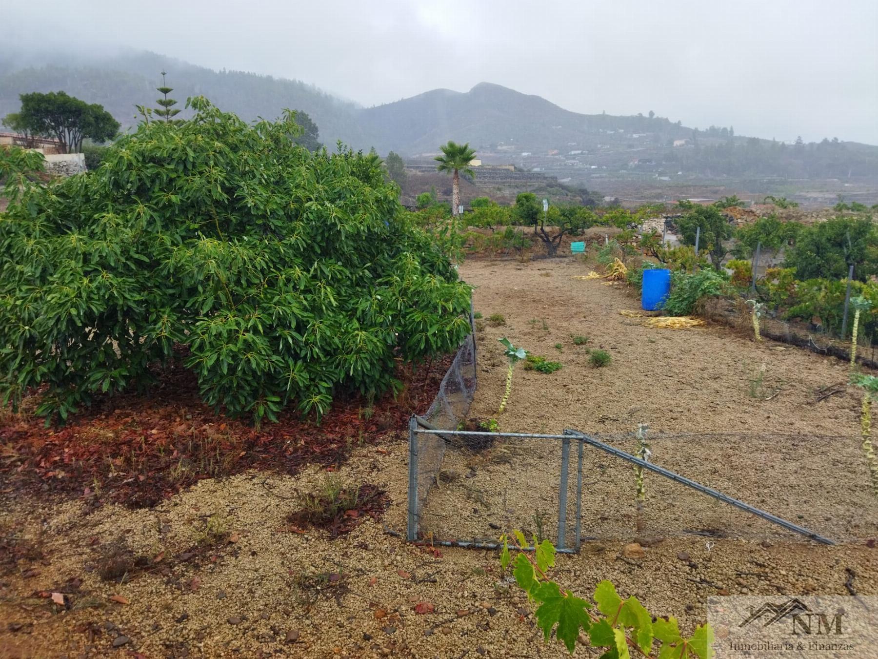 Venta de finca rústica en Granadilla de Abona