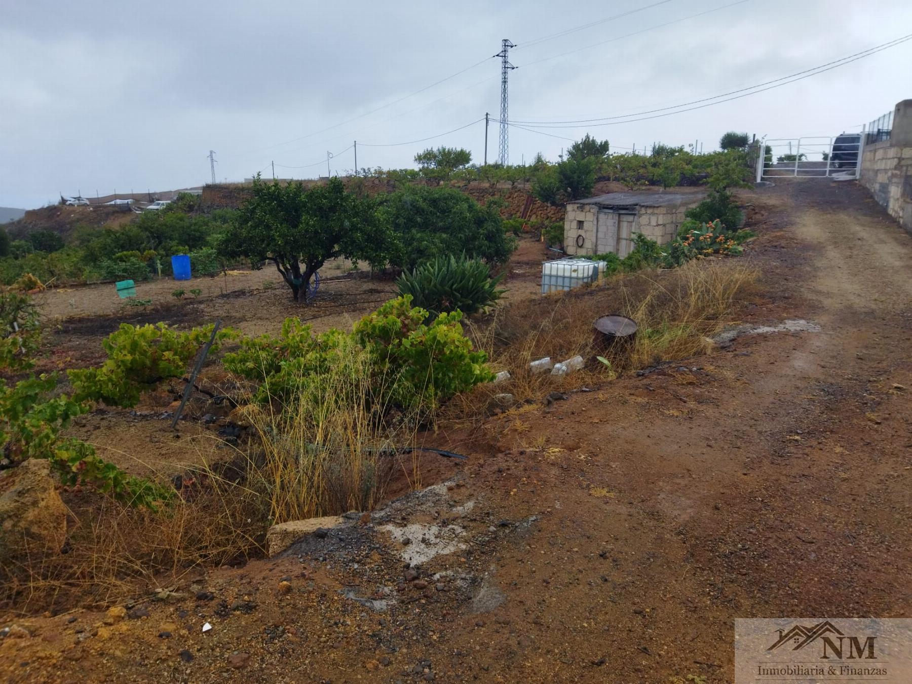 Venta de finca rústica en Granadilla de Abona