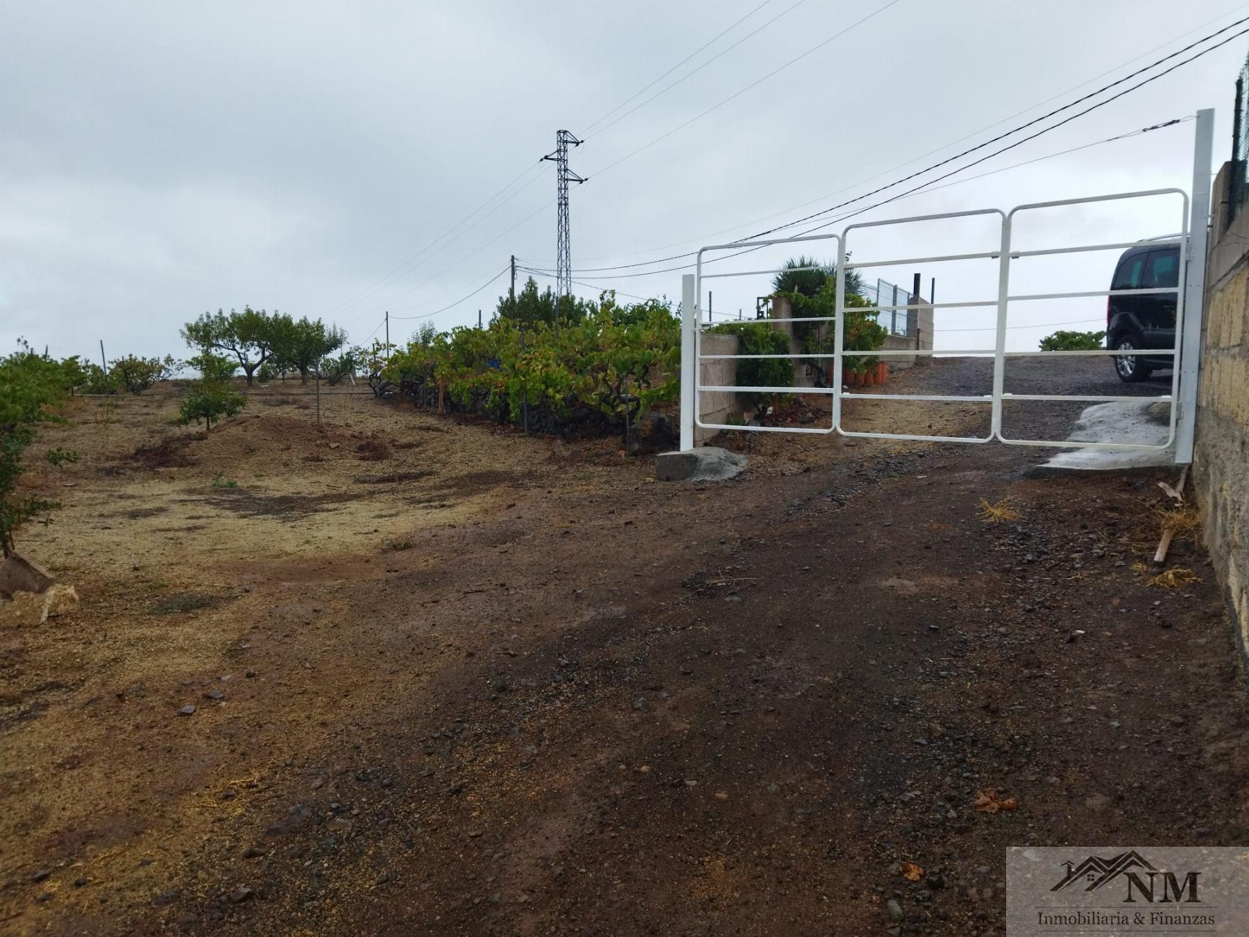 Venta de finca rústica en Granadilla de Abona
