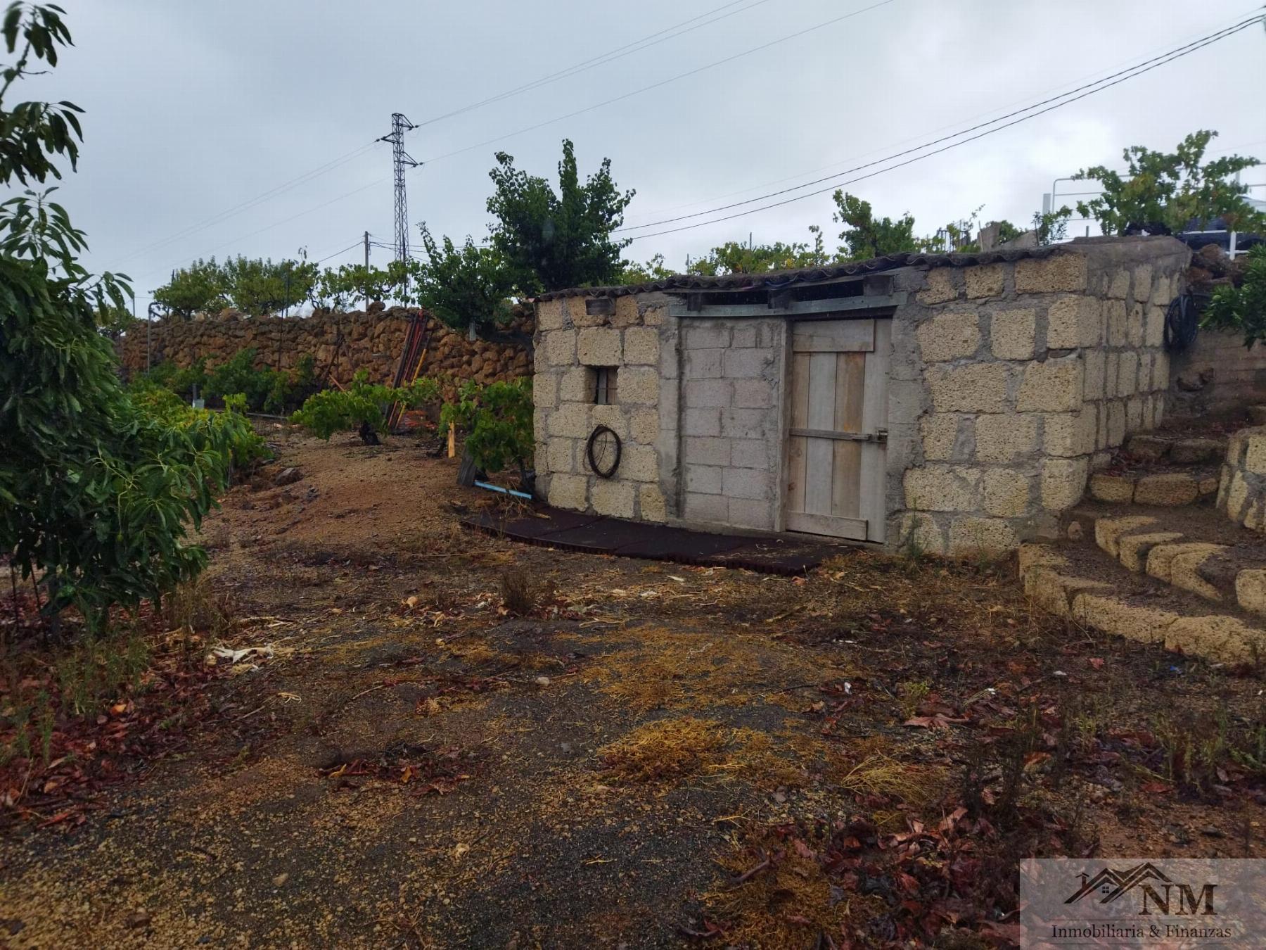 Venta de finca rústica en Granadilla de Abona