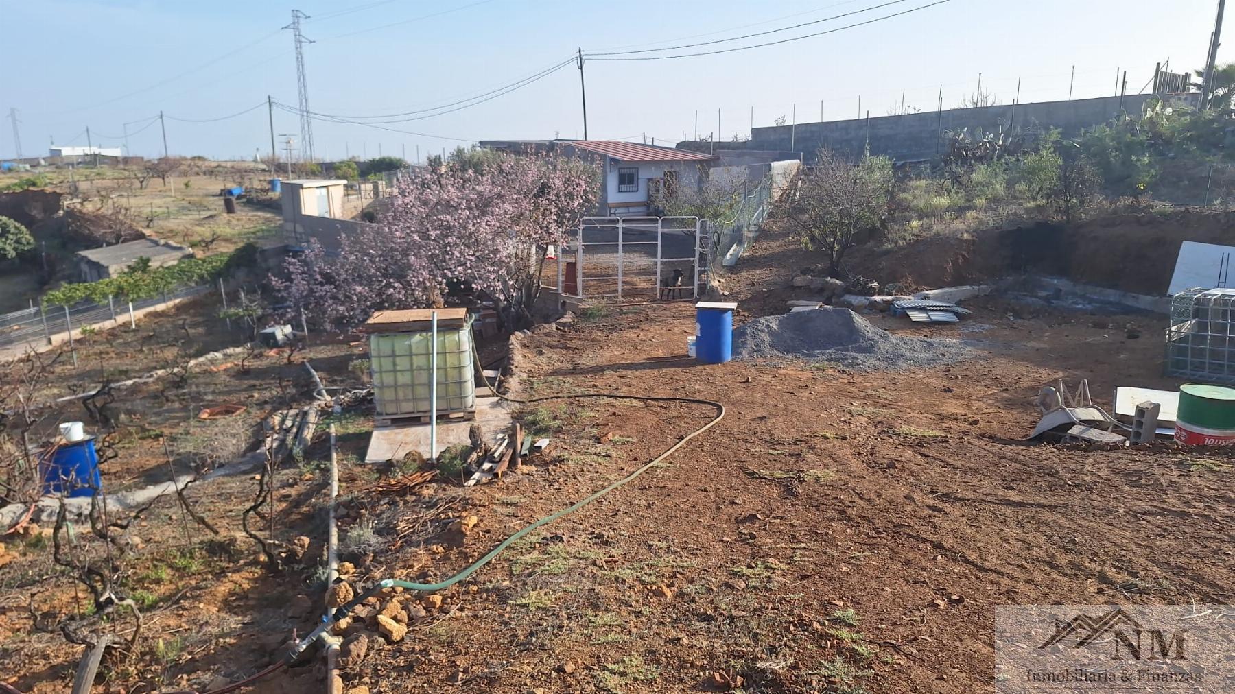 Venta de finca rústica en Granadilla de Abona
