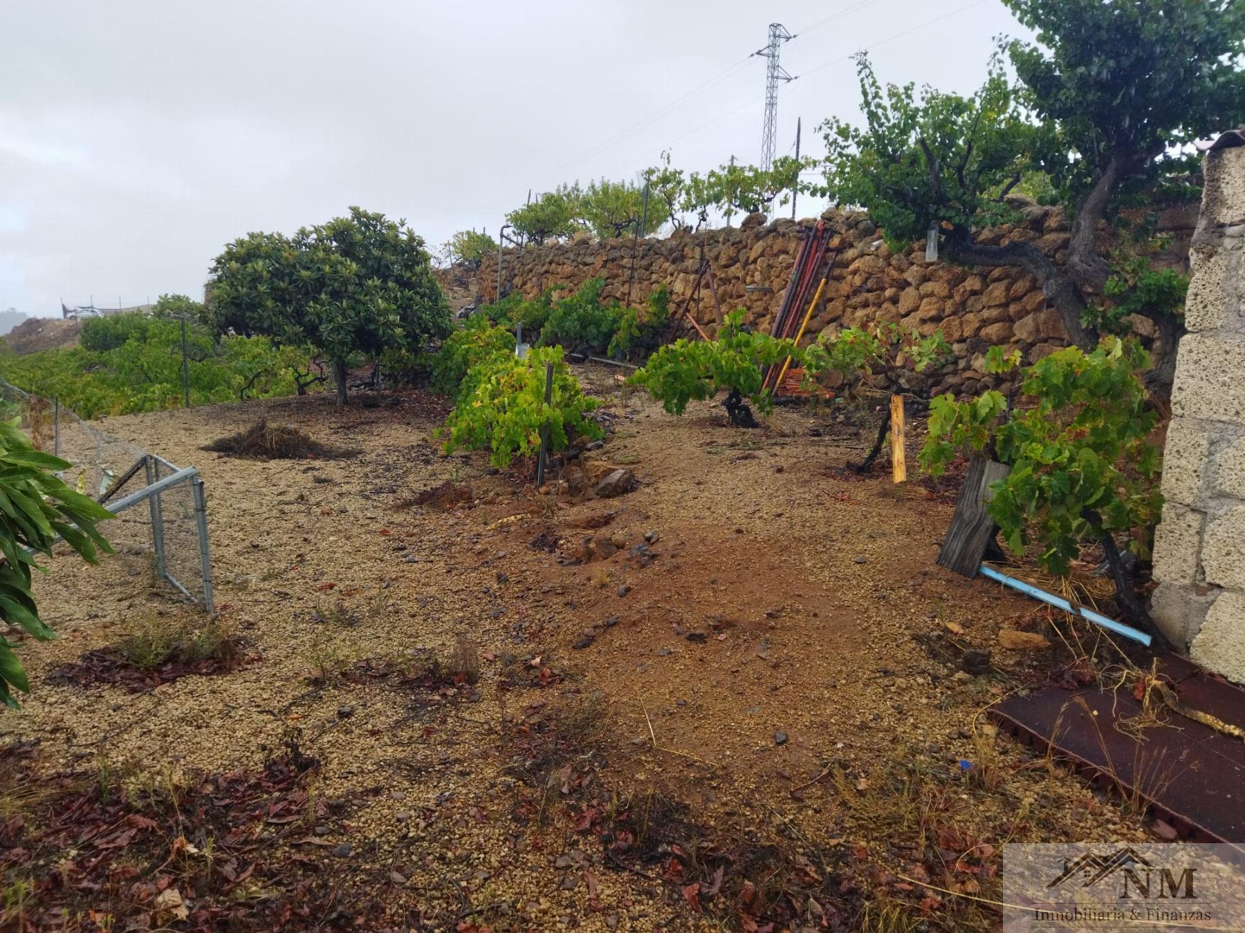 Venta de finca rústica en Granadilla de Abona