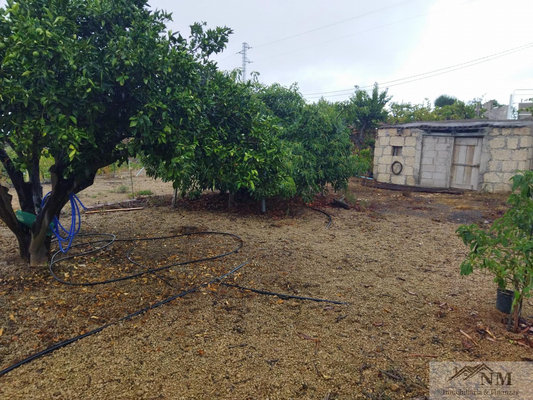 Venta de finca rústica en Granadilla de Abona