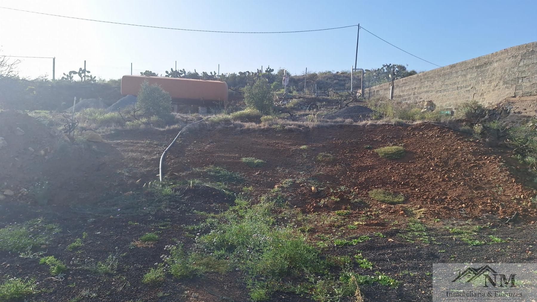 Venta de finca rústica en Granadilla de Abona