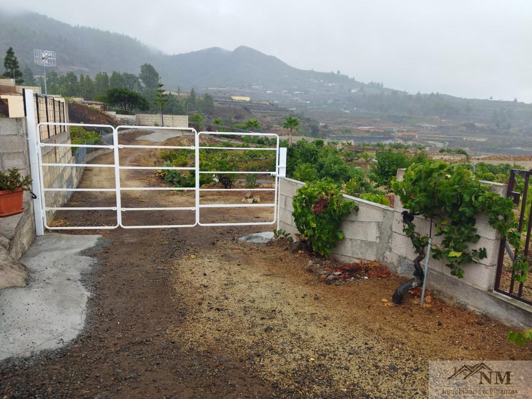 Venta de finca rústica en Granadilla de Abona