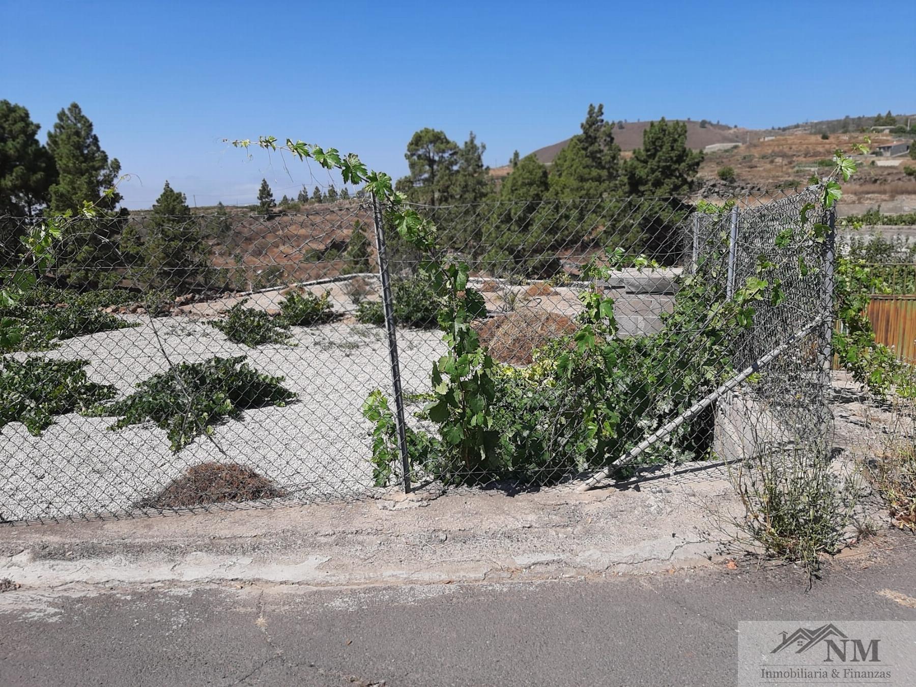 For sale of rural property in Granadilla de Abona