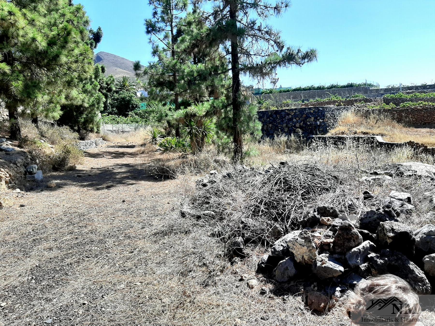For sale of rural property in Granadilla de Abona