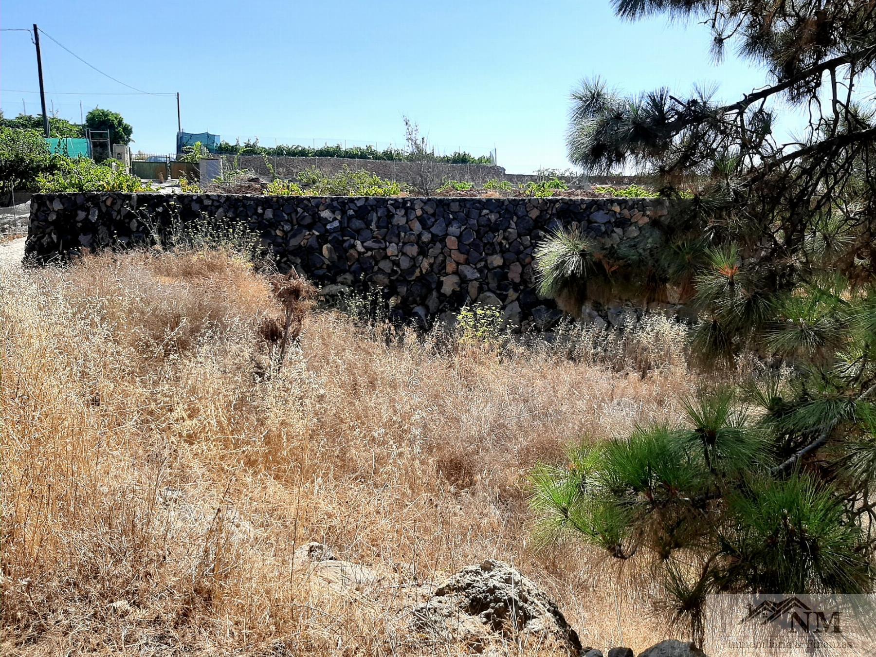 For sale of rural property in Granadilla de Abona
