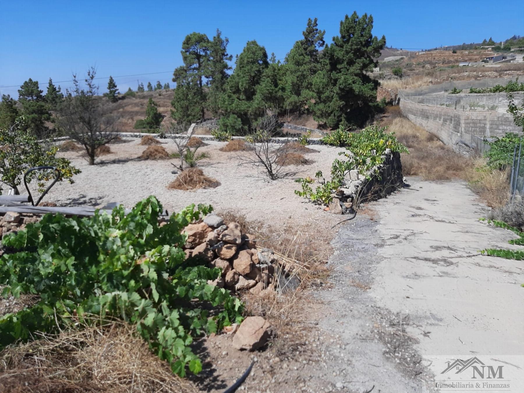 For sale of rural property in Granadilla de Abona