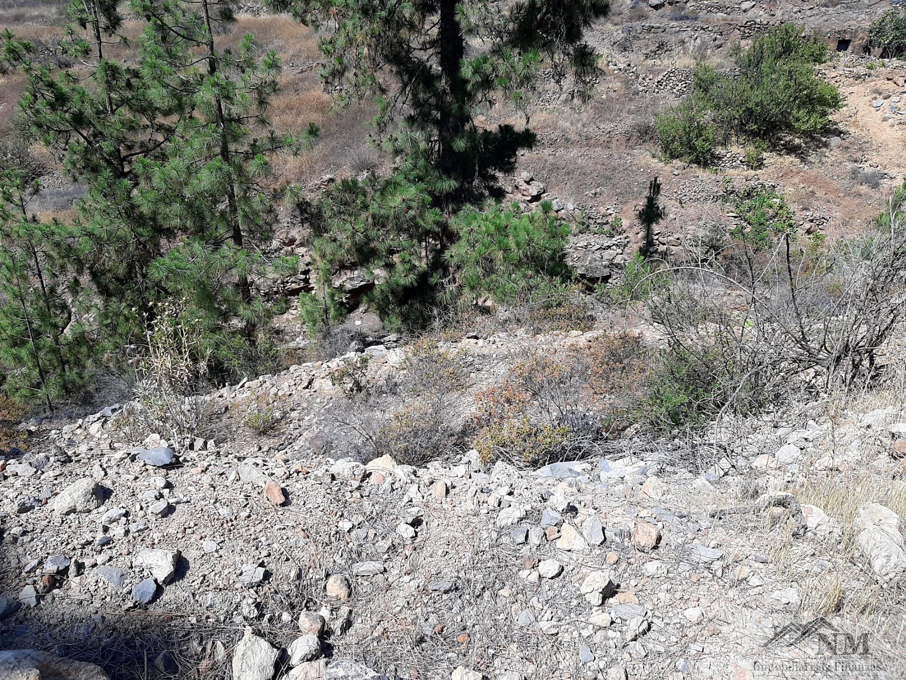 For sale of rural property in Granadilla de Abona
