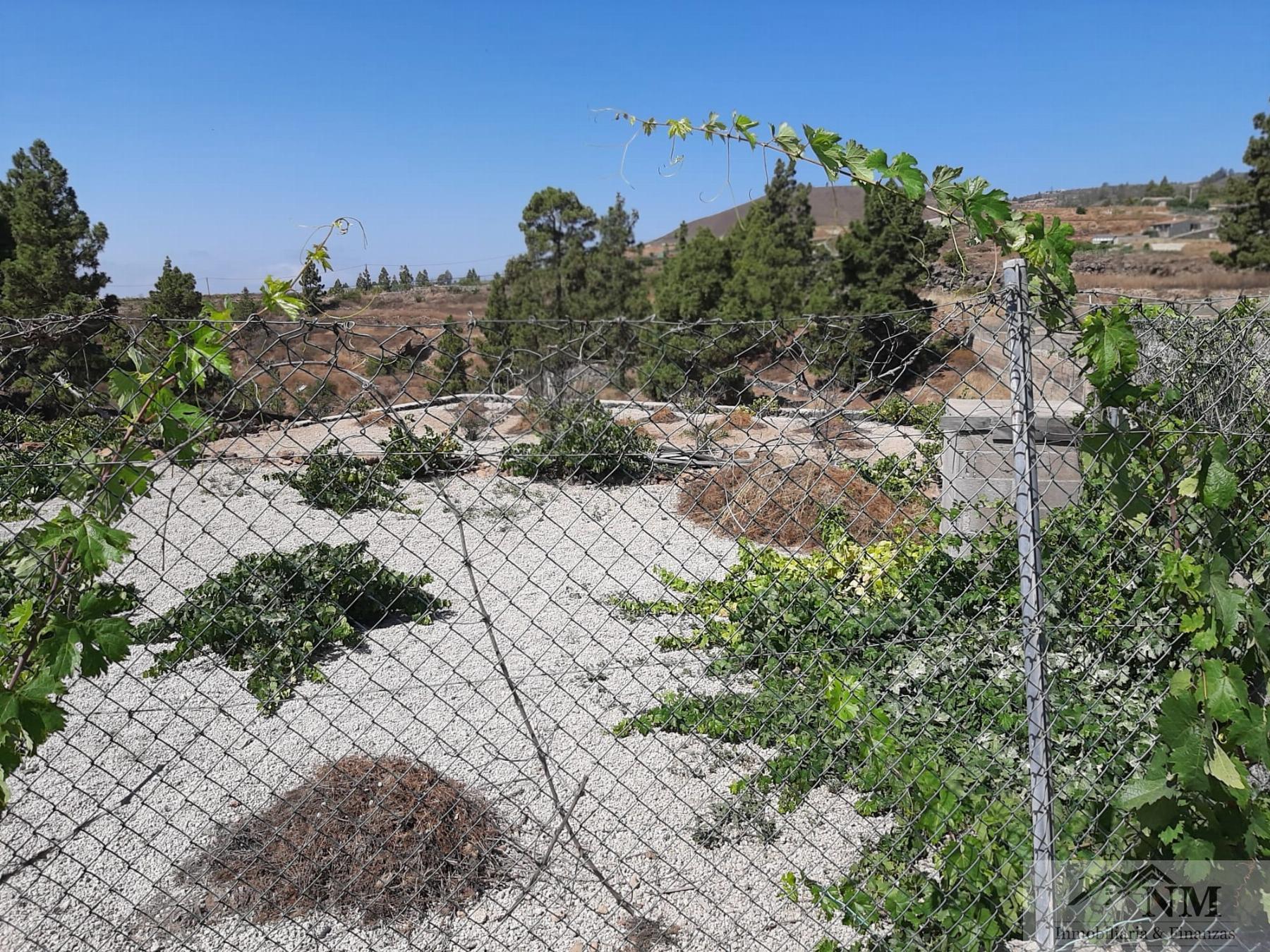 For sale of rural property in Granadilla de Abona