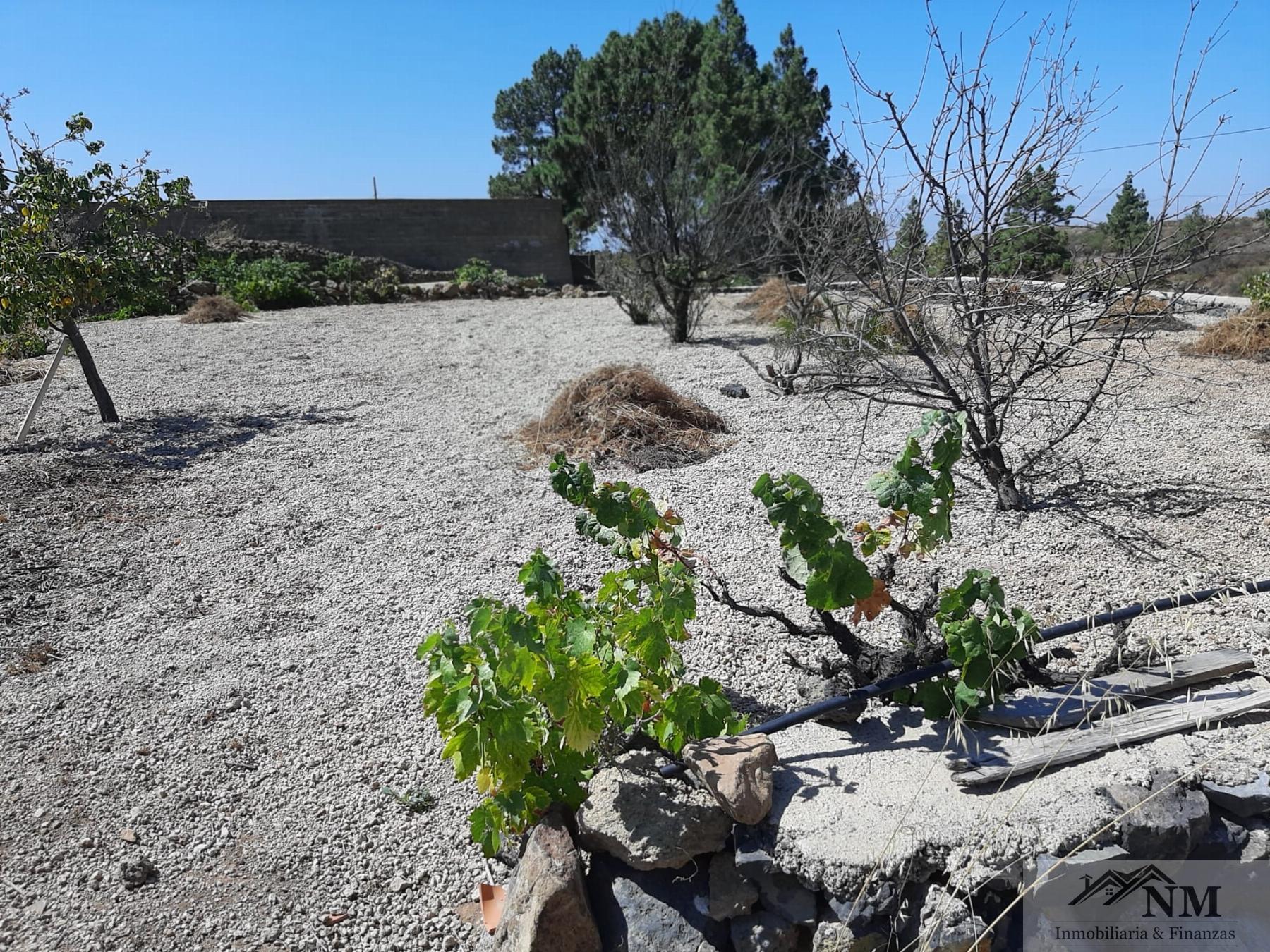 For sale of rural property in Granadilla de Abona
