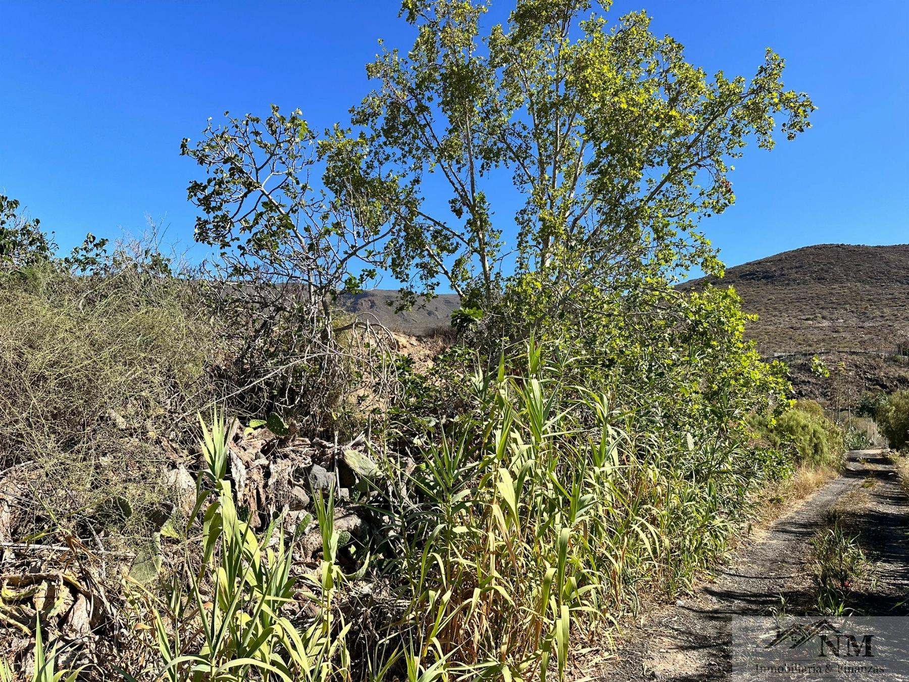 Vendita di terreno in Valle de San Lorenzo