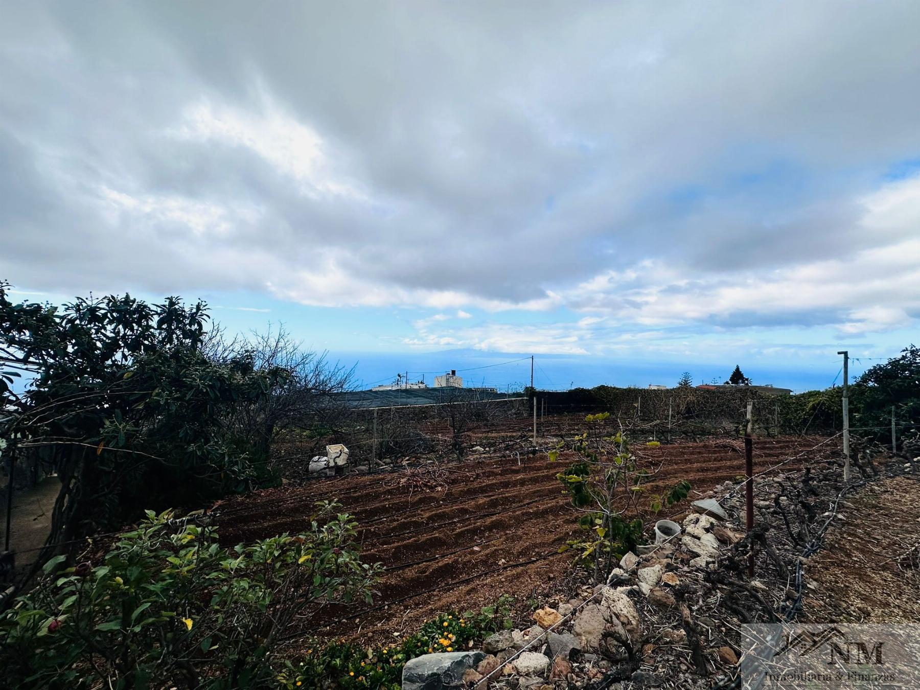 Venta de finca rústica en Guía de Isora Venta de finca rústica en Guía de Isora