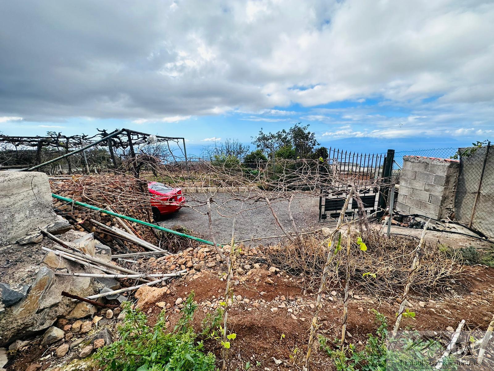 Venta de finca rústica en Guía de Isora Venta de finca rústica en Guía de Isora