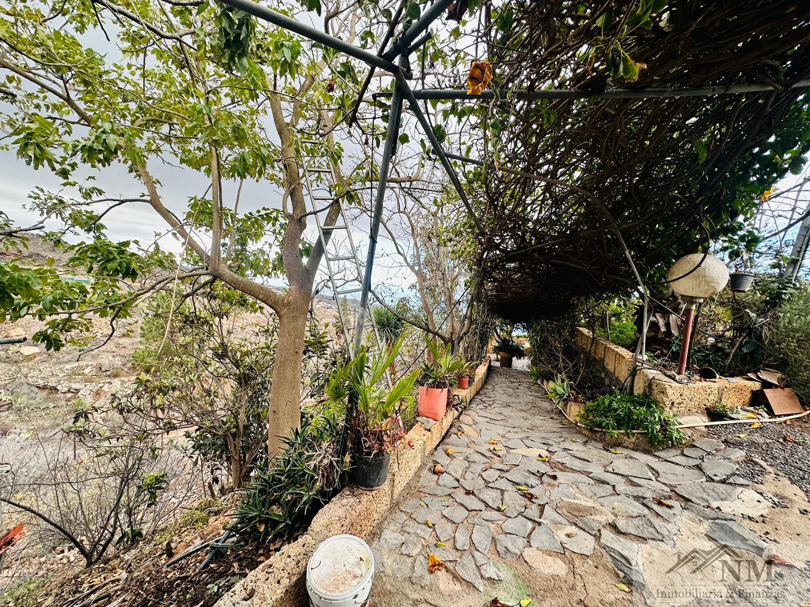 For sale of rural property in Guía de Isora