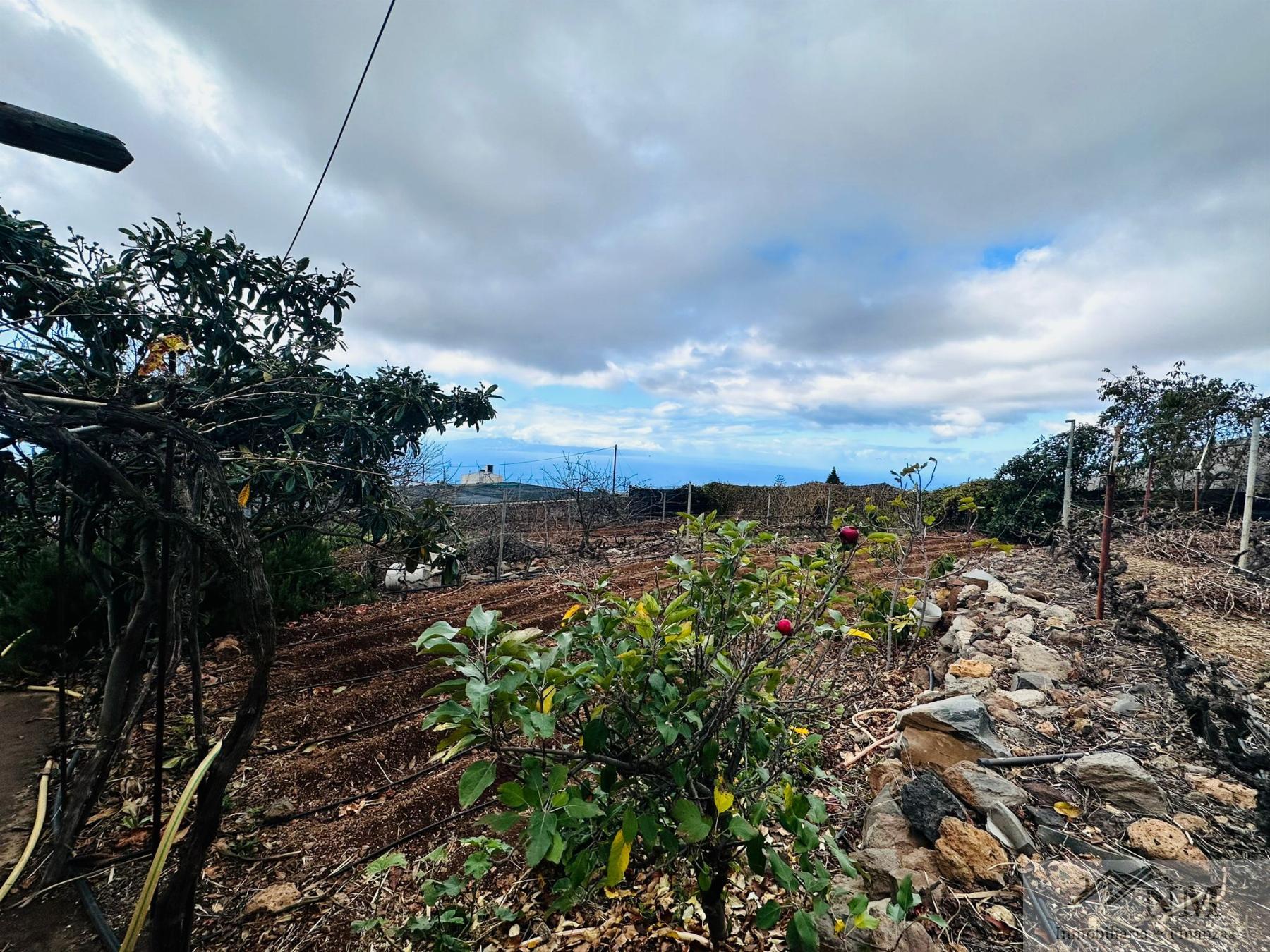 For sale of rural property in Guía de Isora