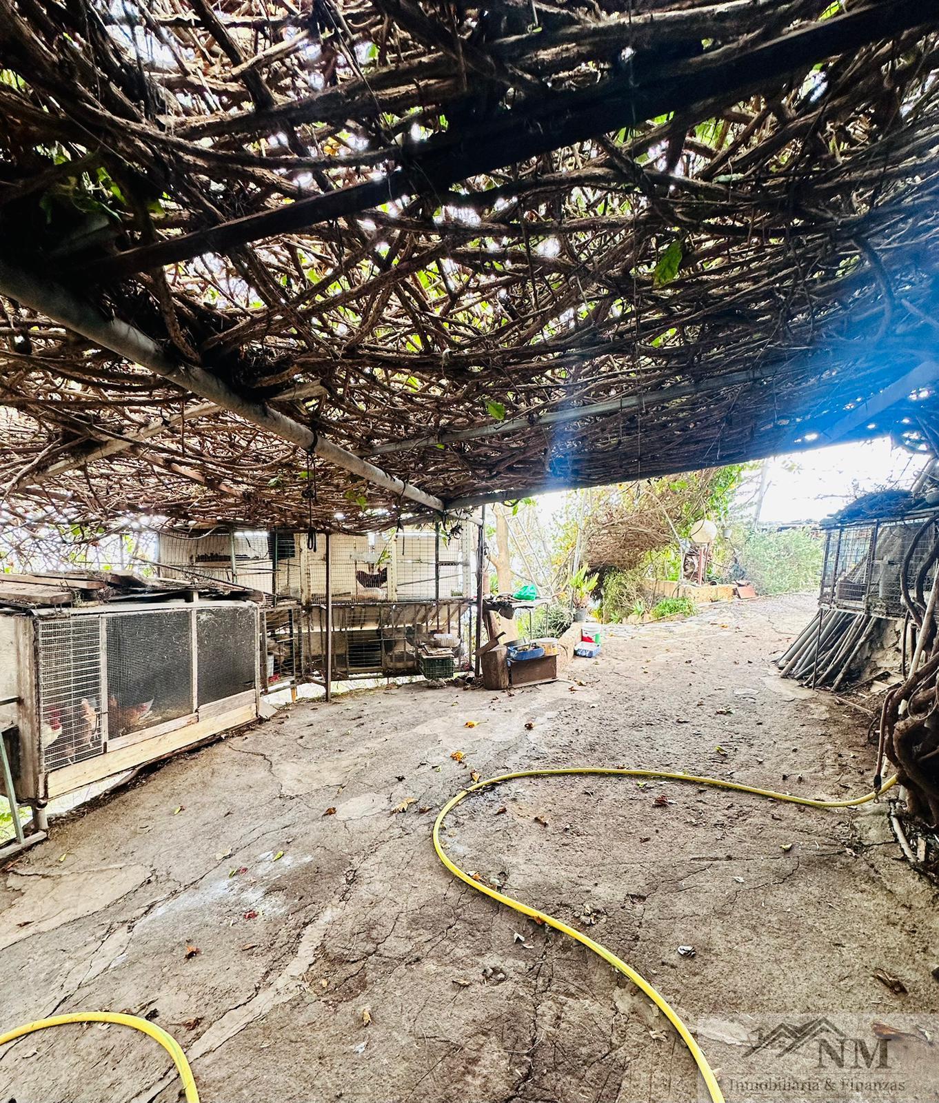 Venta de finca rústica en Guía de Isora Venta de finca rústica en Guía de Isora