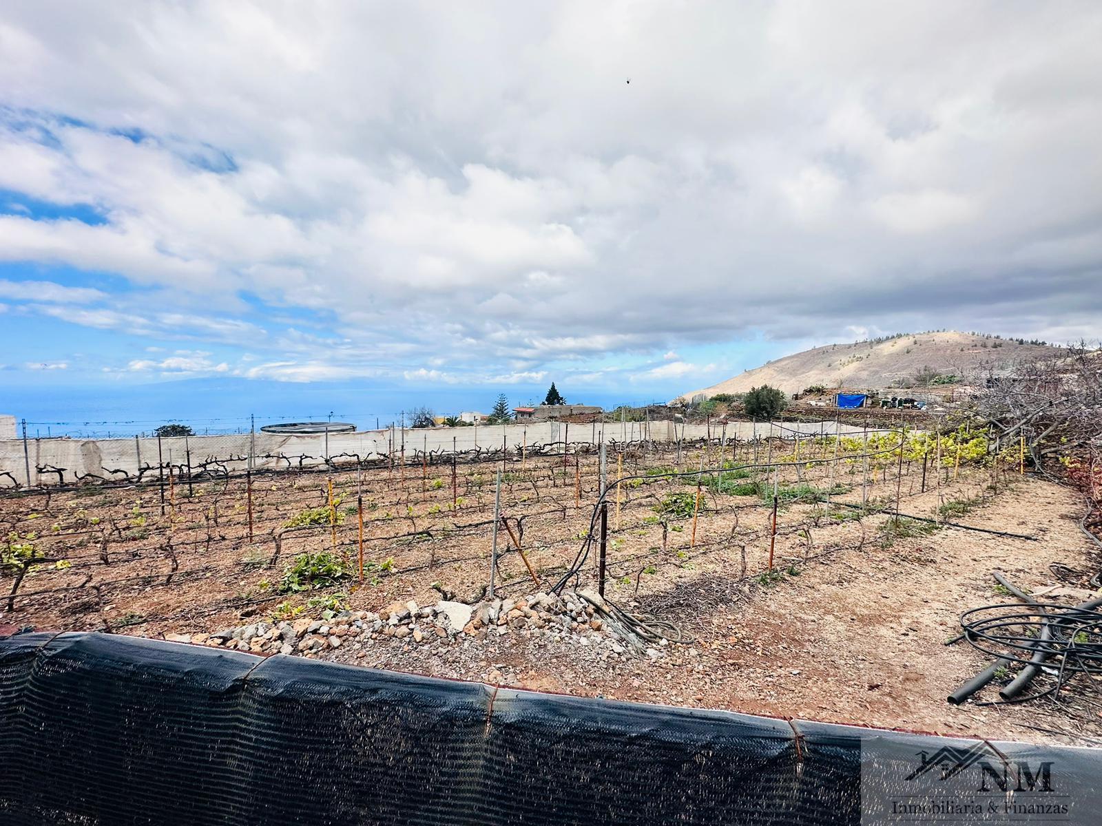 Venta de finca rústica en Guía de Isora Venta de finca rústica en Guía de Isora