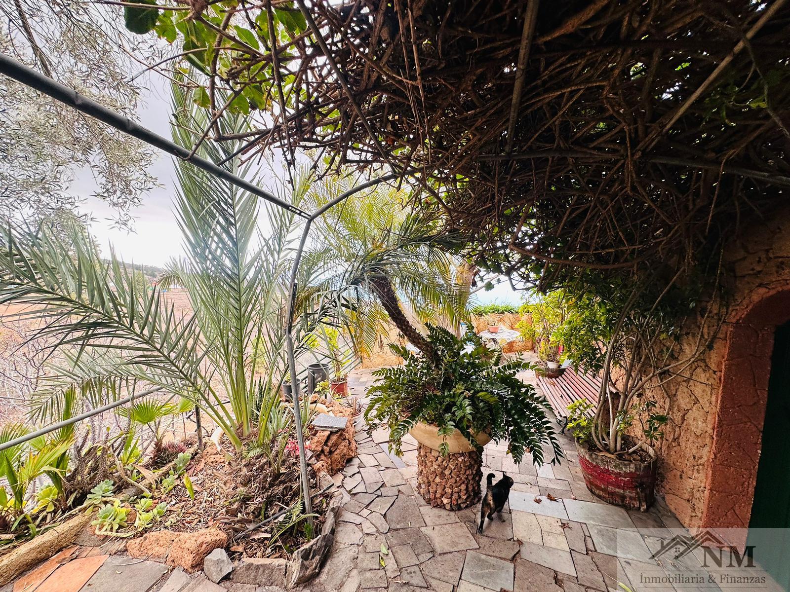For sale of rural property in Guía de Isora