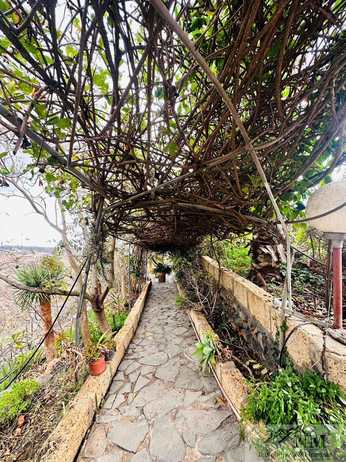 For sale of rural property in Guía de Isora