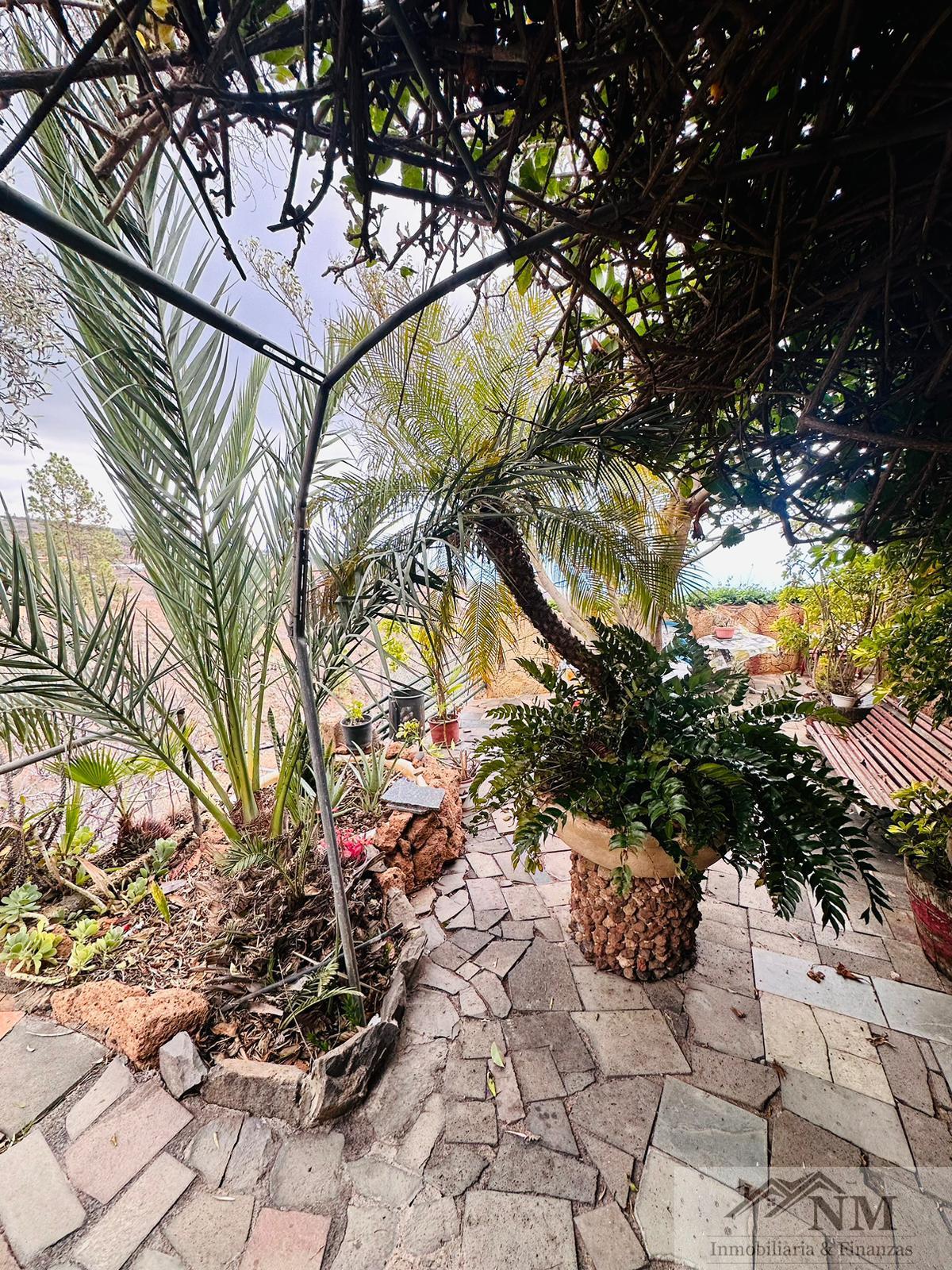 Venta de finca rústica en Guía de Isora Venta de finca rústica en Guía de Isora