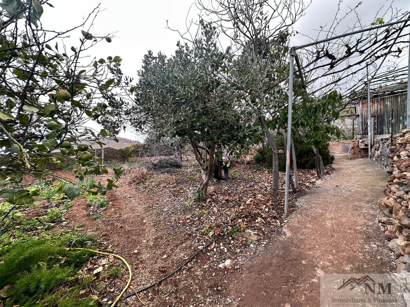 For sale of rural property in Guía de Isora