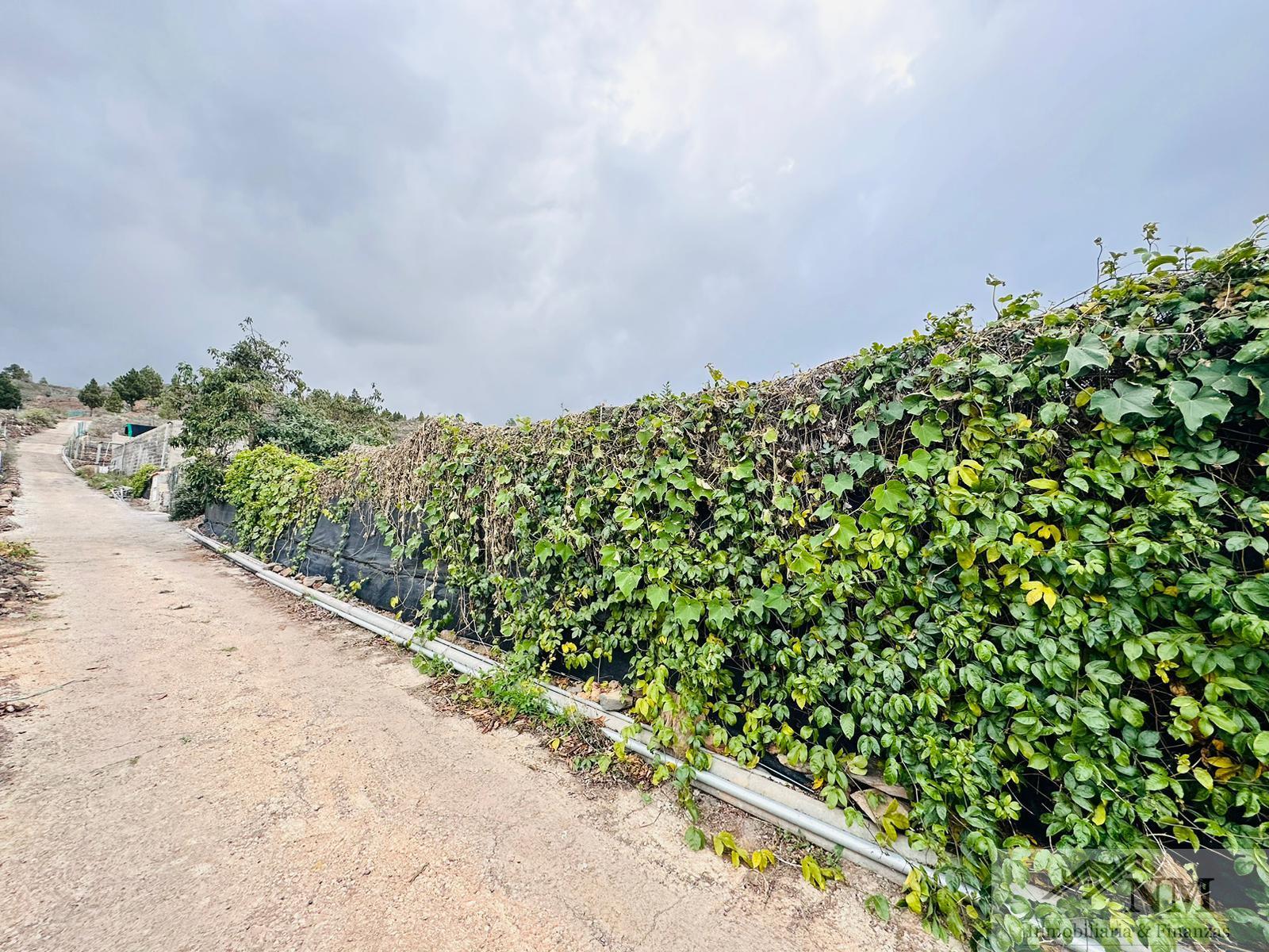 For sale of rural property in Guía de Isora