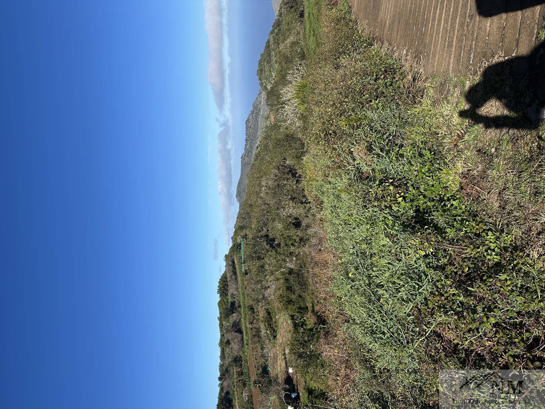 For sale of rural property in El Tanque