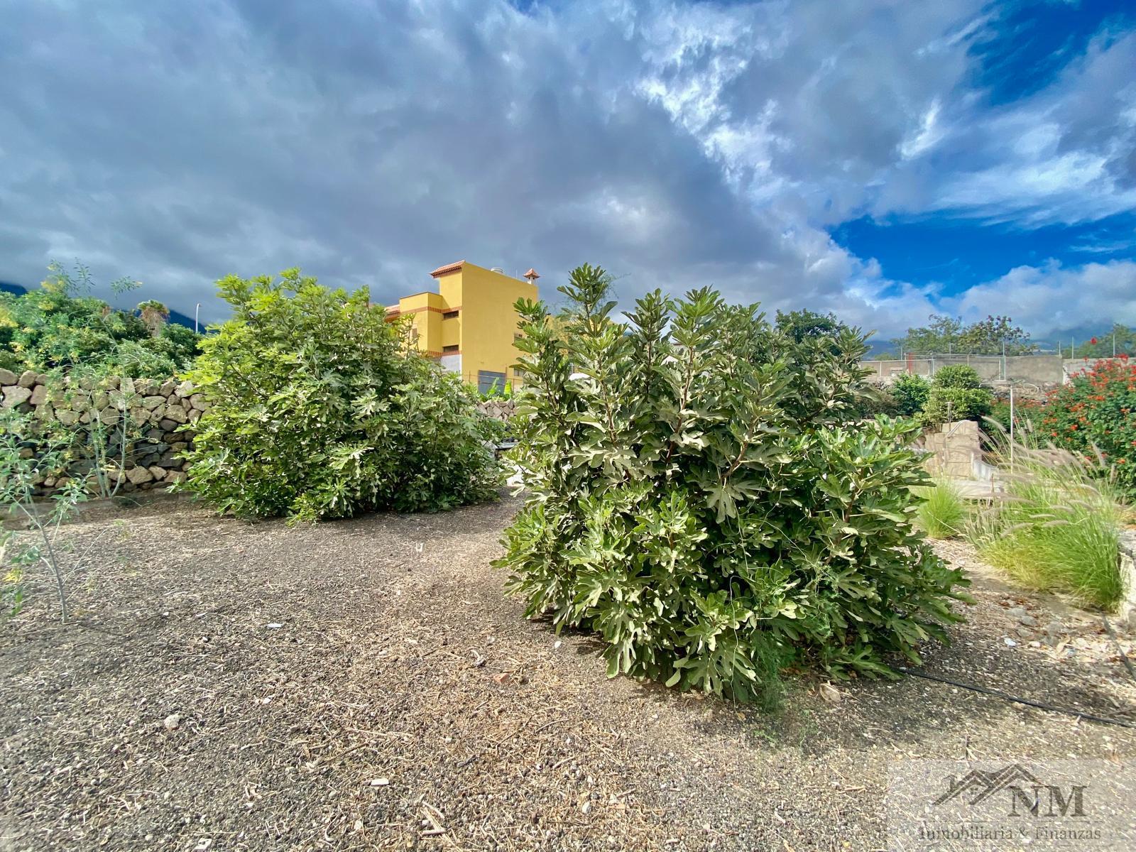 For sale of house in Güímar