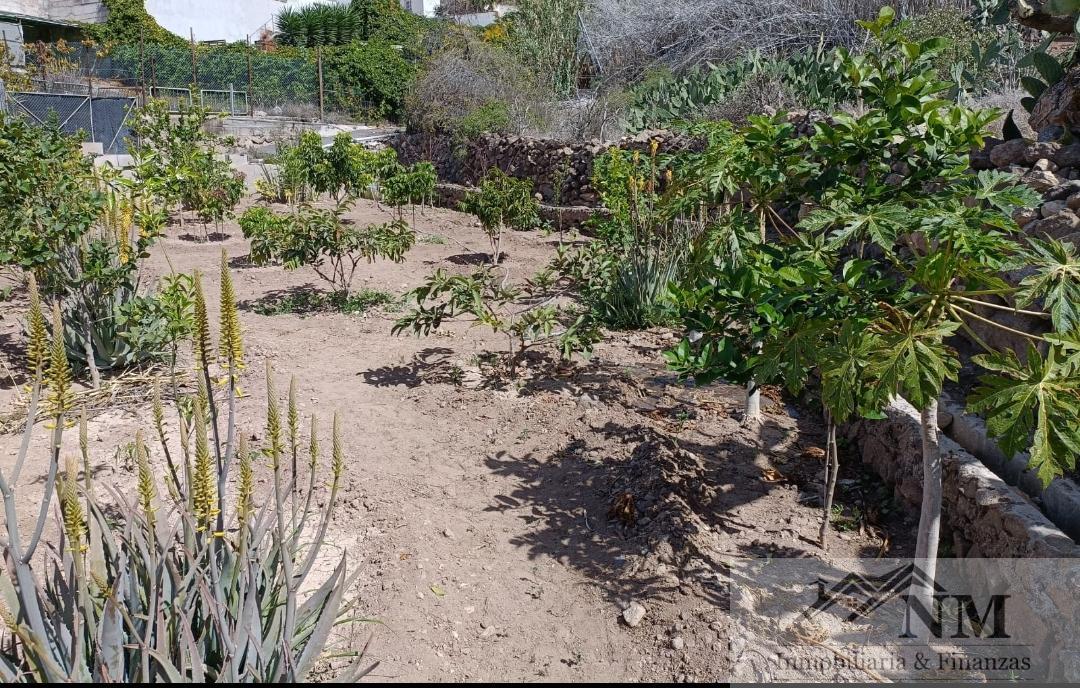 Vente de terrain dans Guía de Isora
