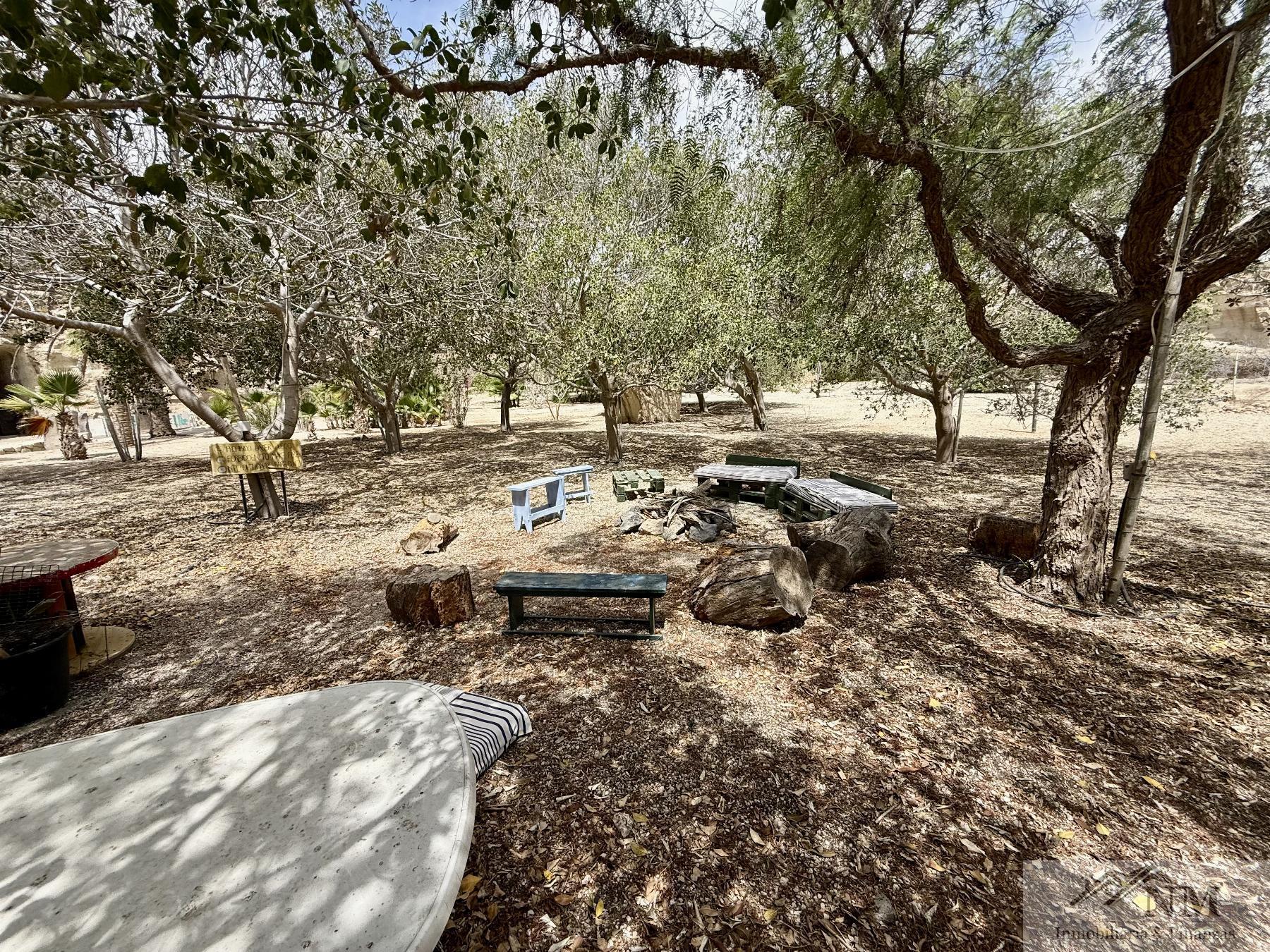 Venta de finca rústica en Granadilla de Abona Venta de finca rústica en Granadilla de Abona