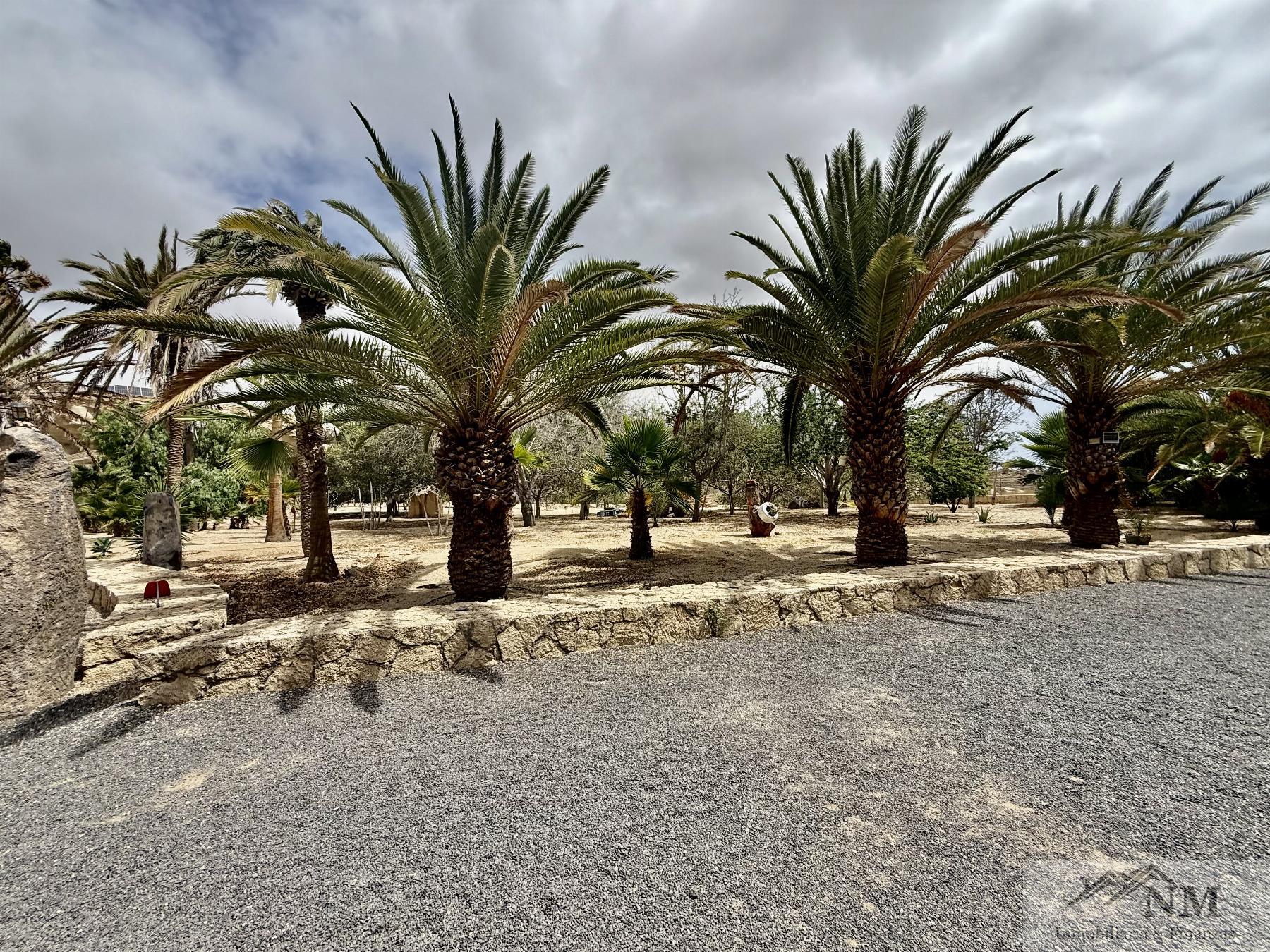 Venta de finca rústica en Granadilla de Abona Venta de finca rústica en Granadilla de Abona