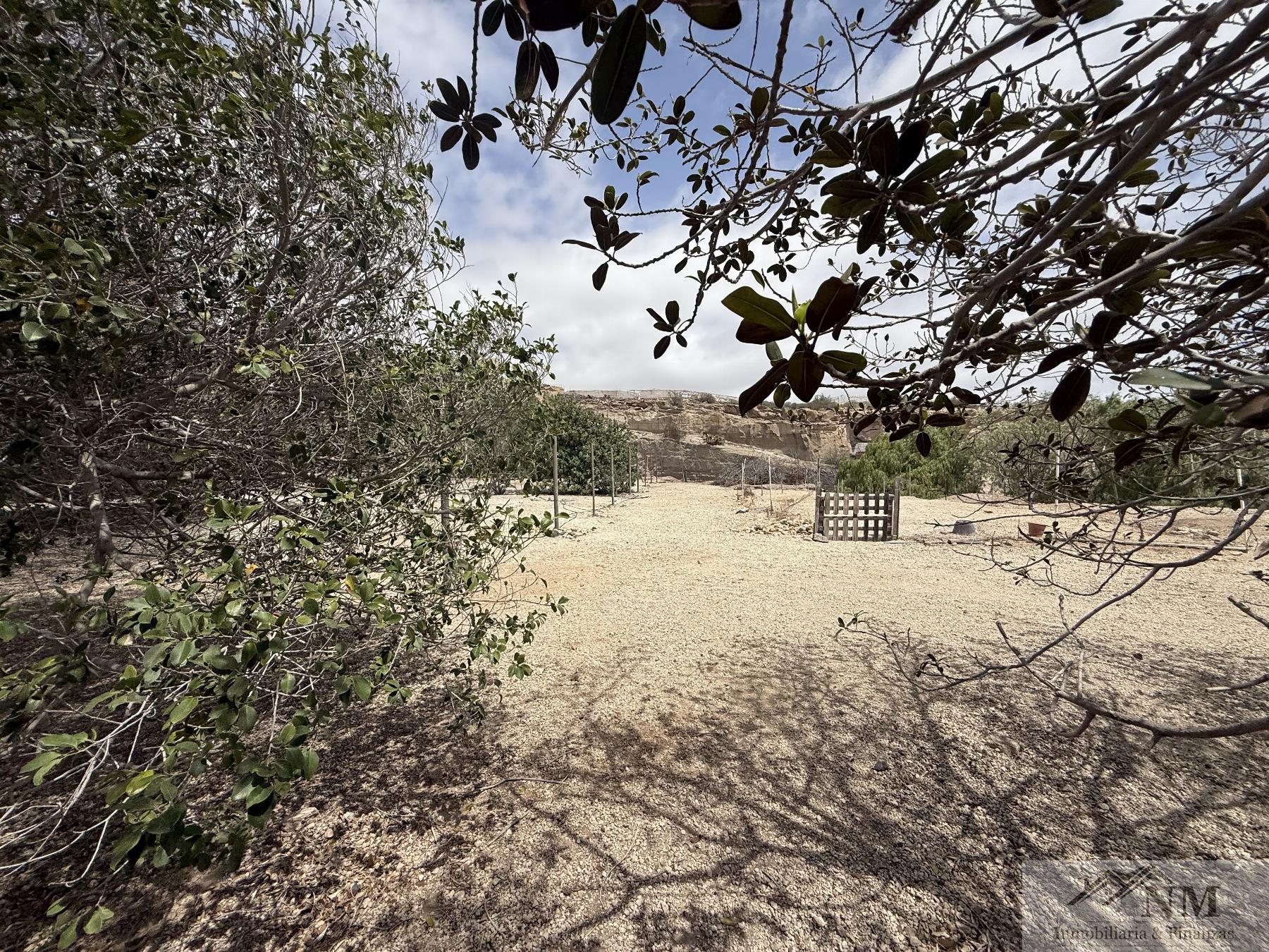 Venta de finca rústica en Granadilla de Abona Venta de finca rústica en Granadilla de Abona