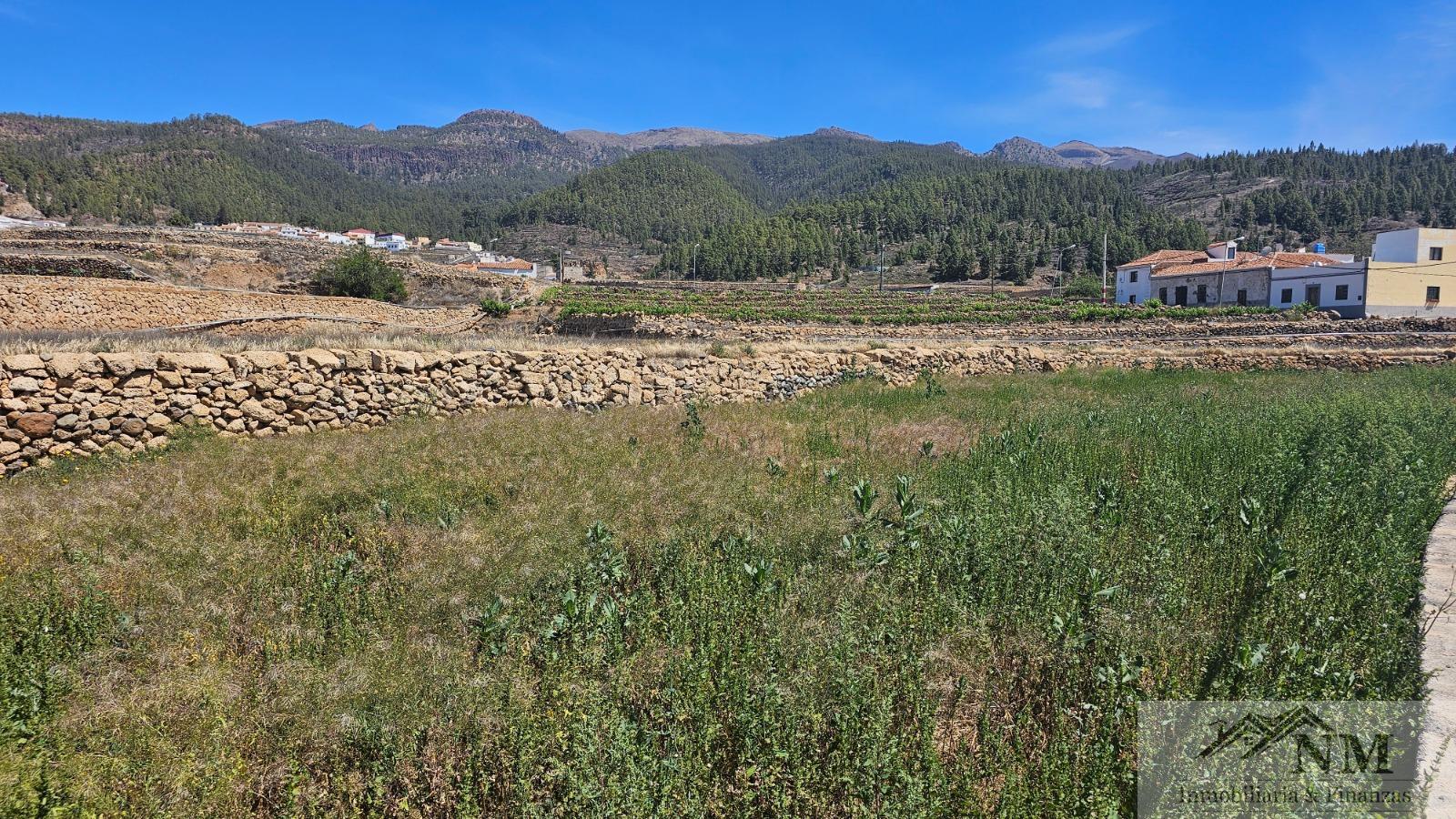 Venta de terreno en Vilaflor