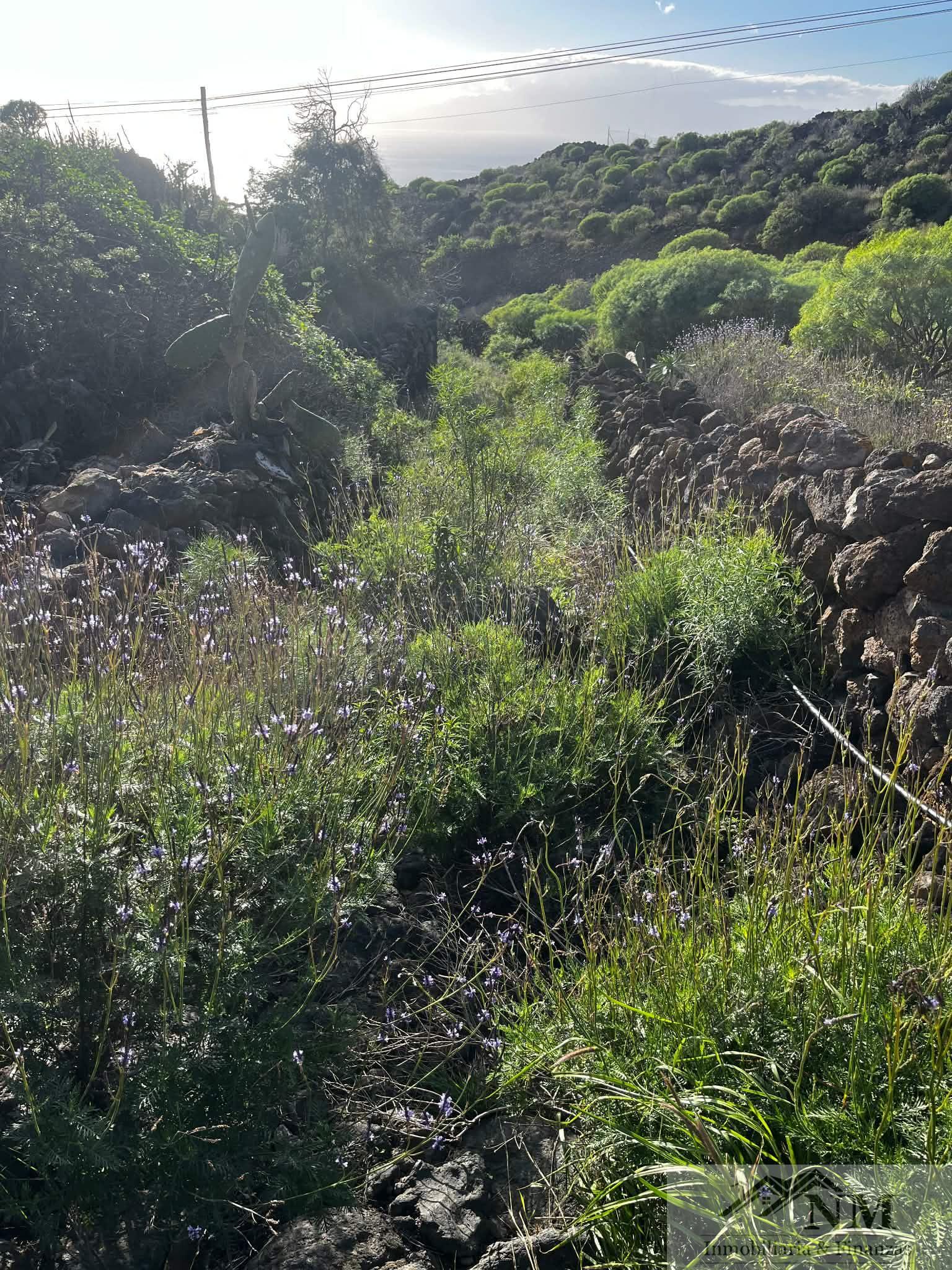 Venta de terreno en Guía de Isora