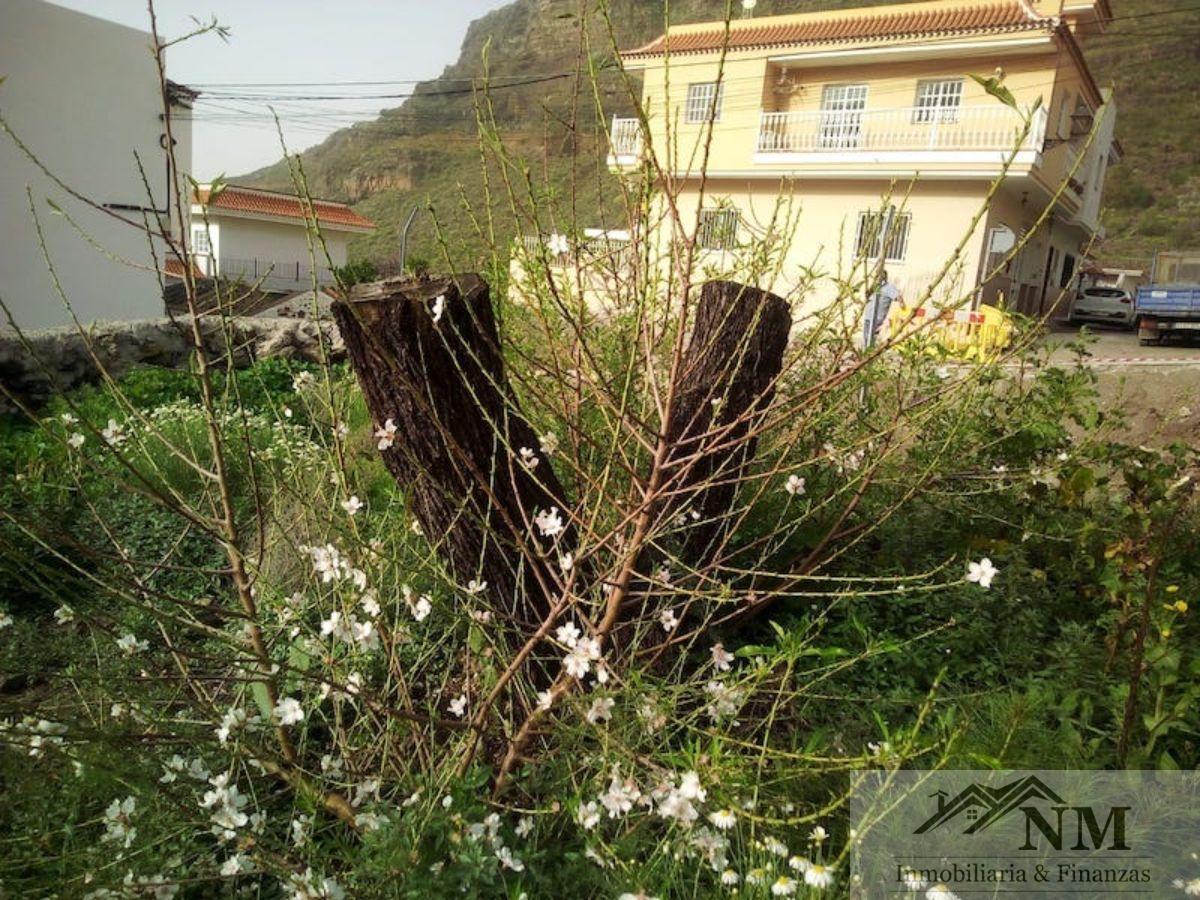 Vente de terrain dans Santiago del Teide