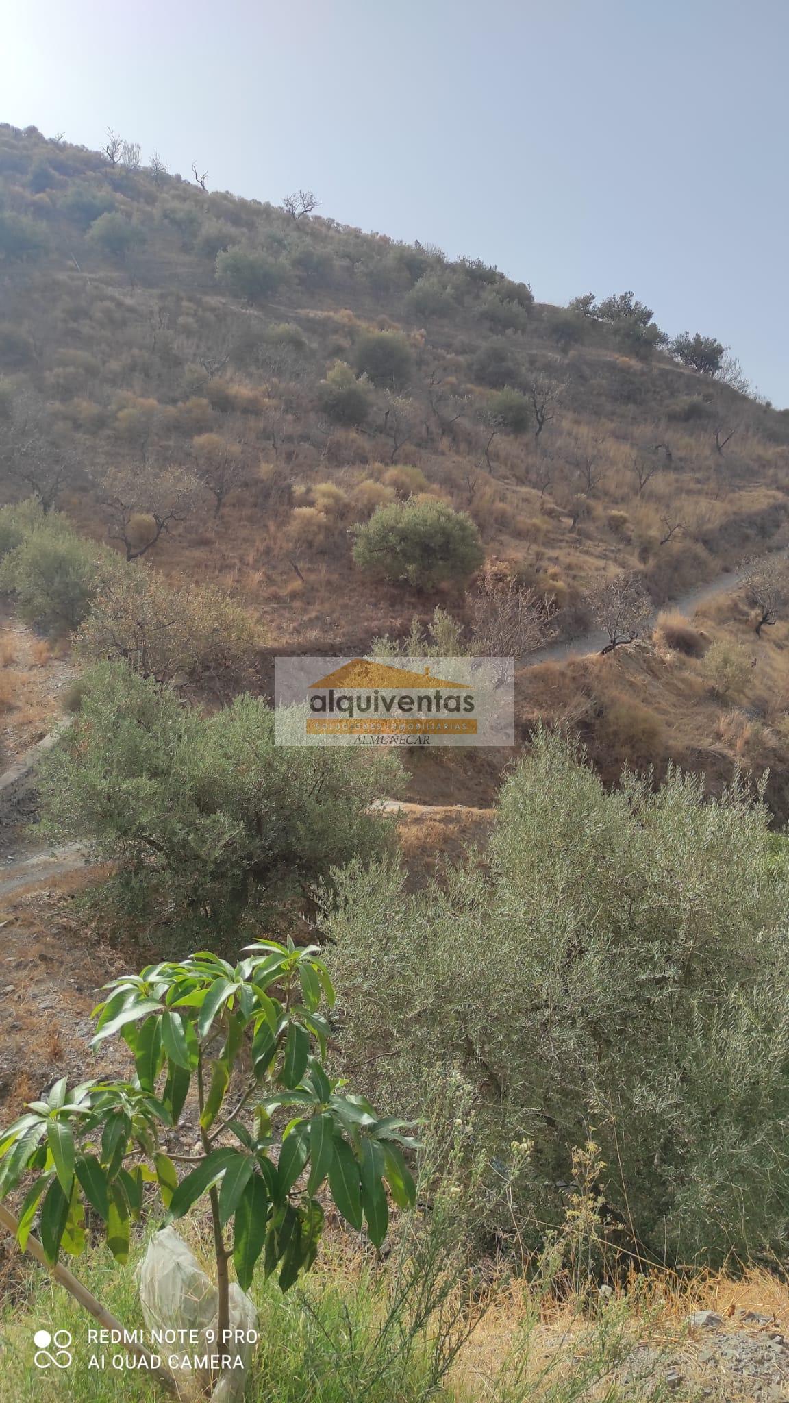 For sale of rural property in La Herradura