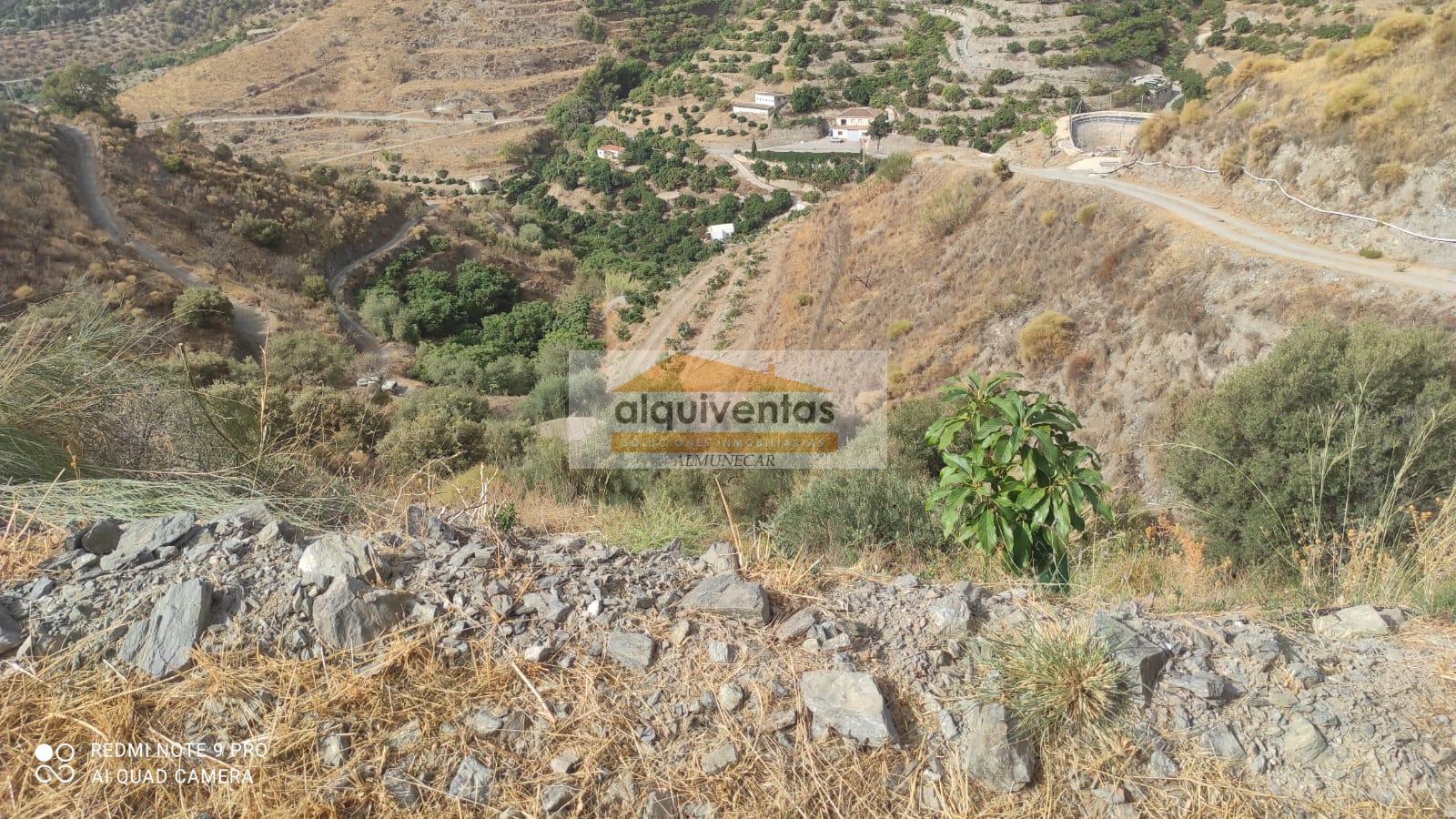 Venta de finca rústica en La Herradura