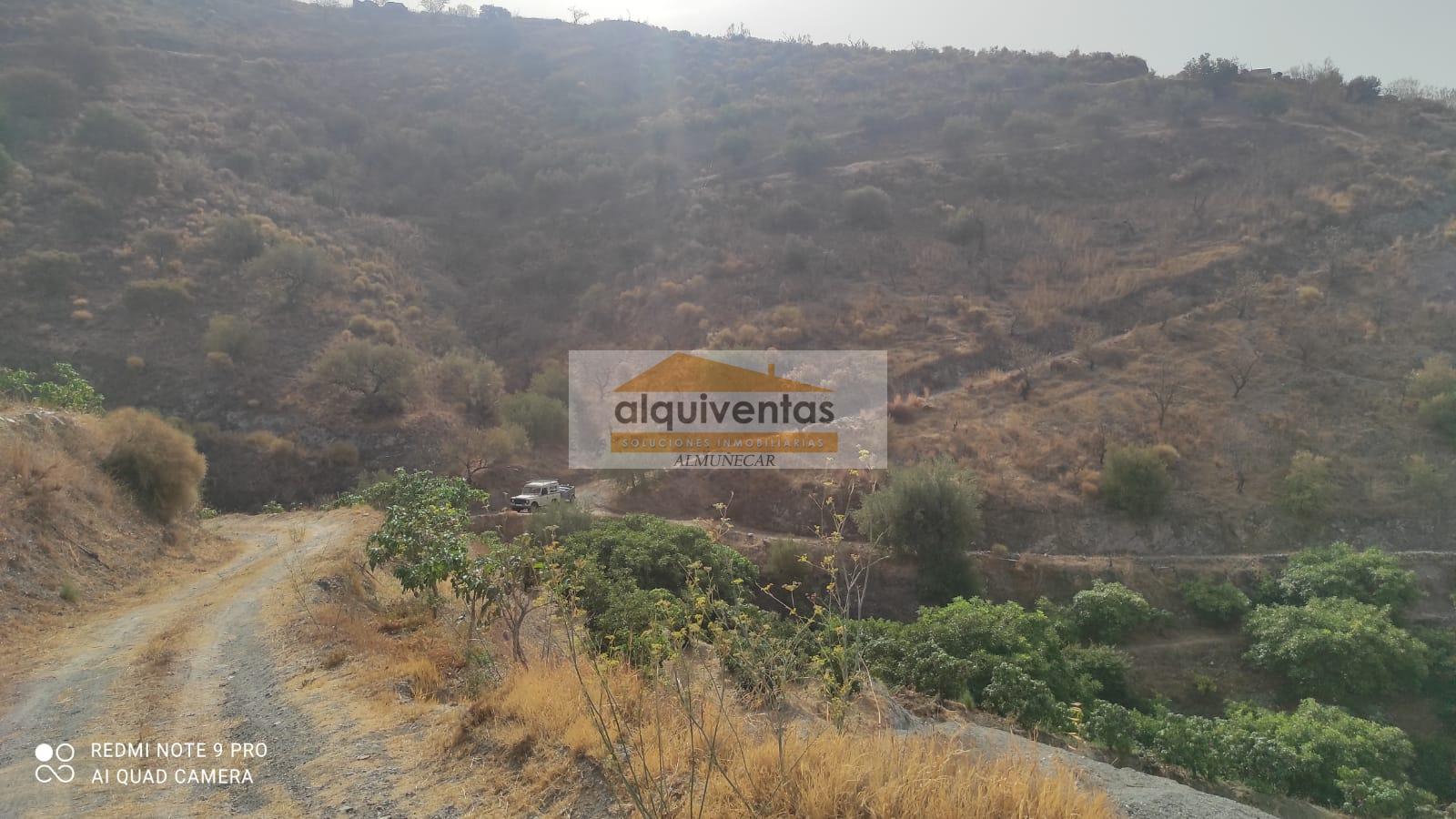 Venta de finca rústica en La Herradura