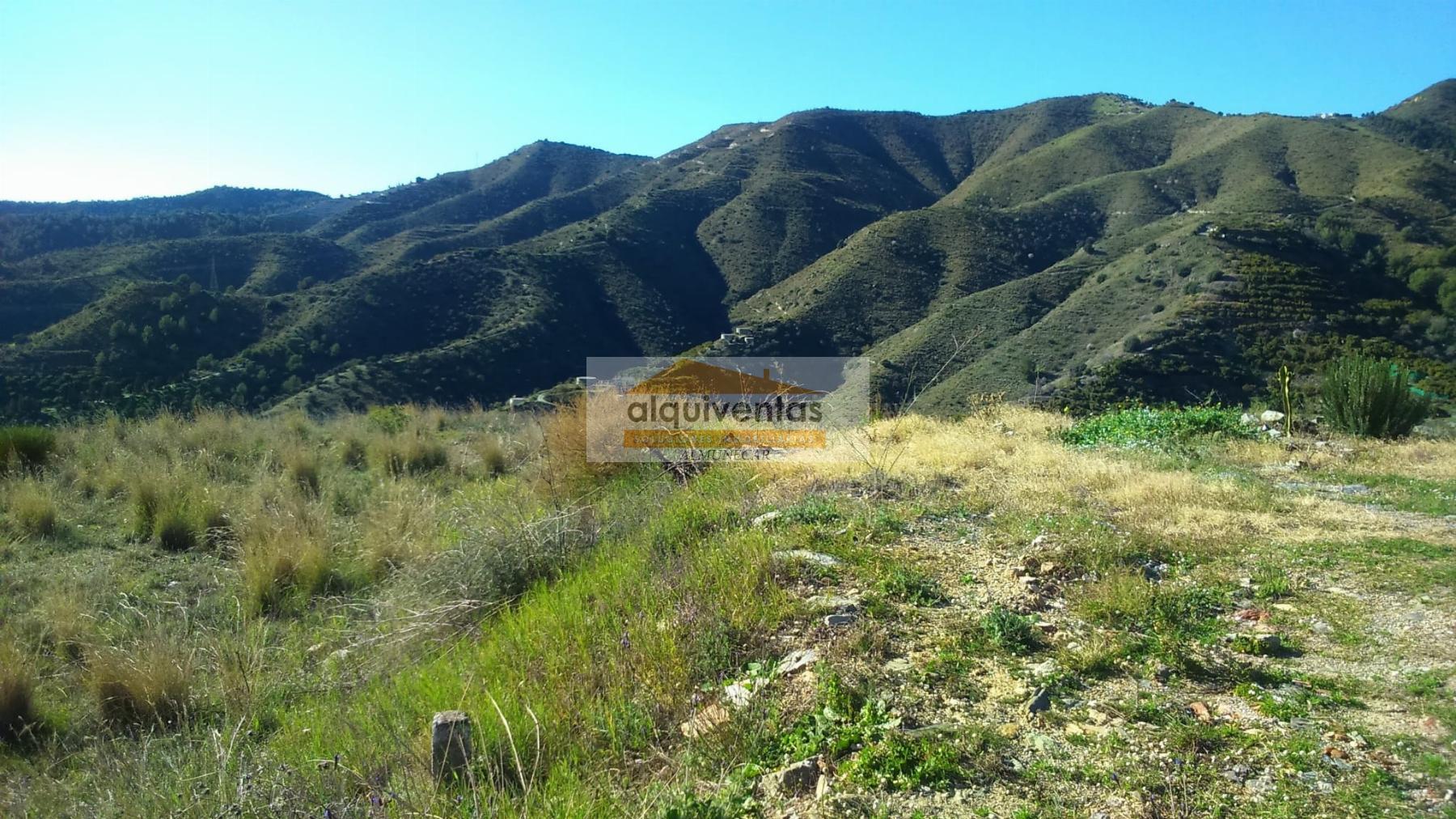 Venta de finca rústica en La Herradura