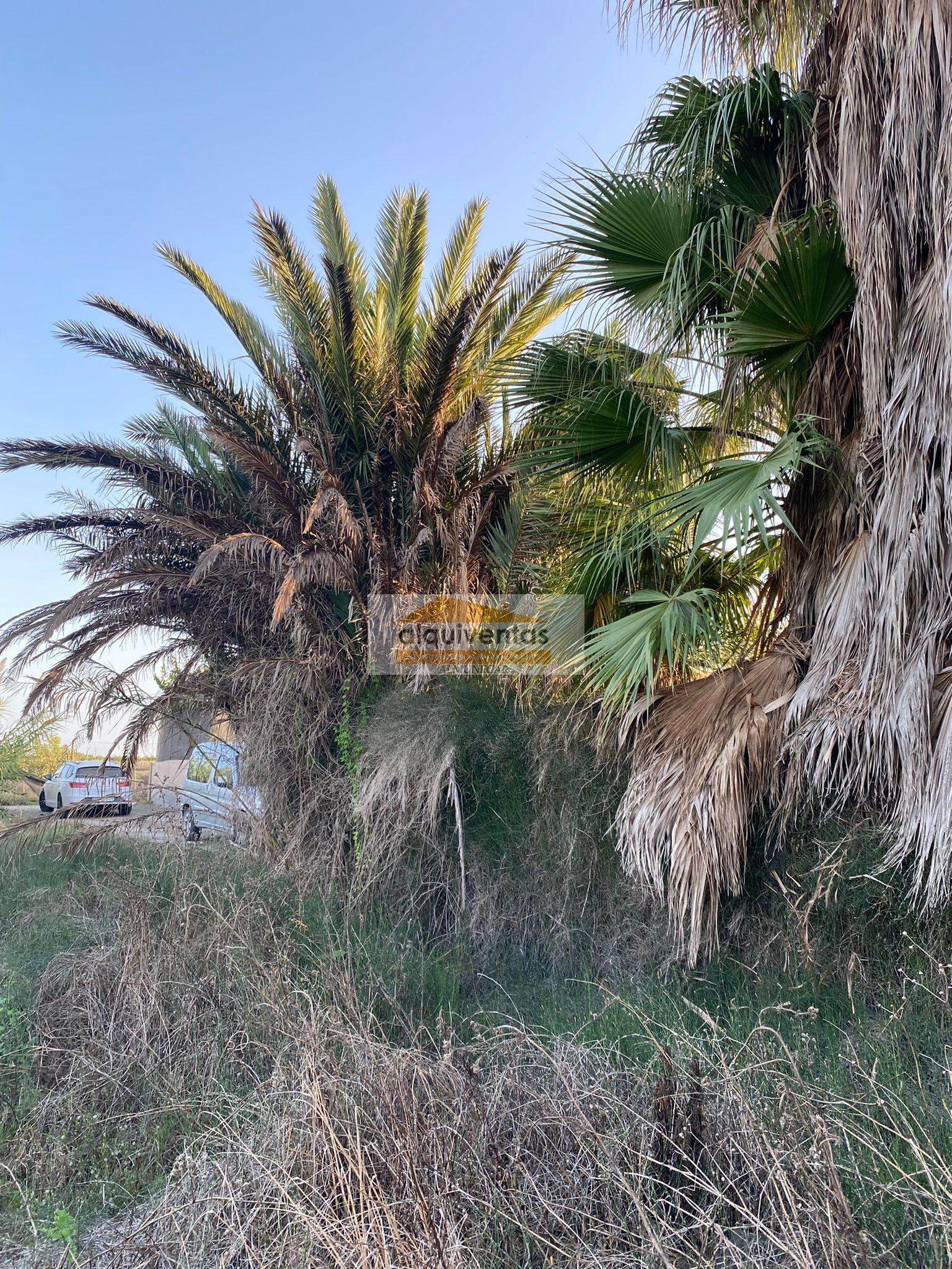 Venta de finca rústica en Salobreña