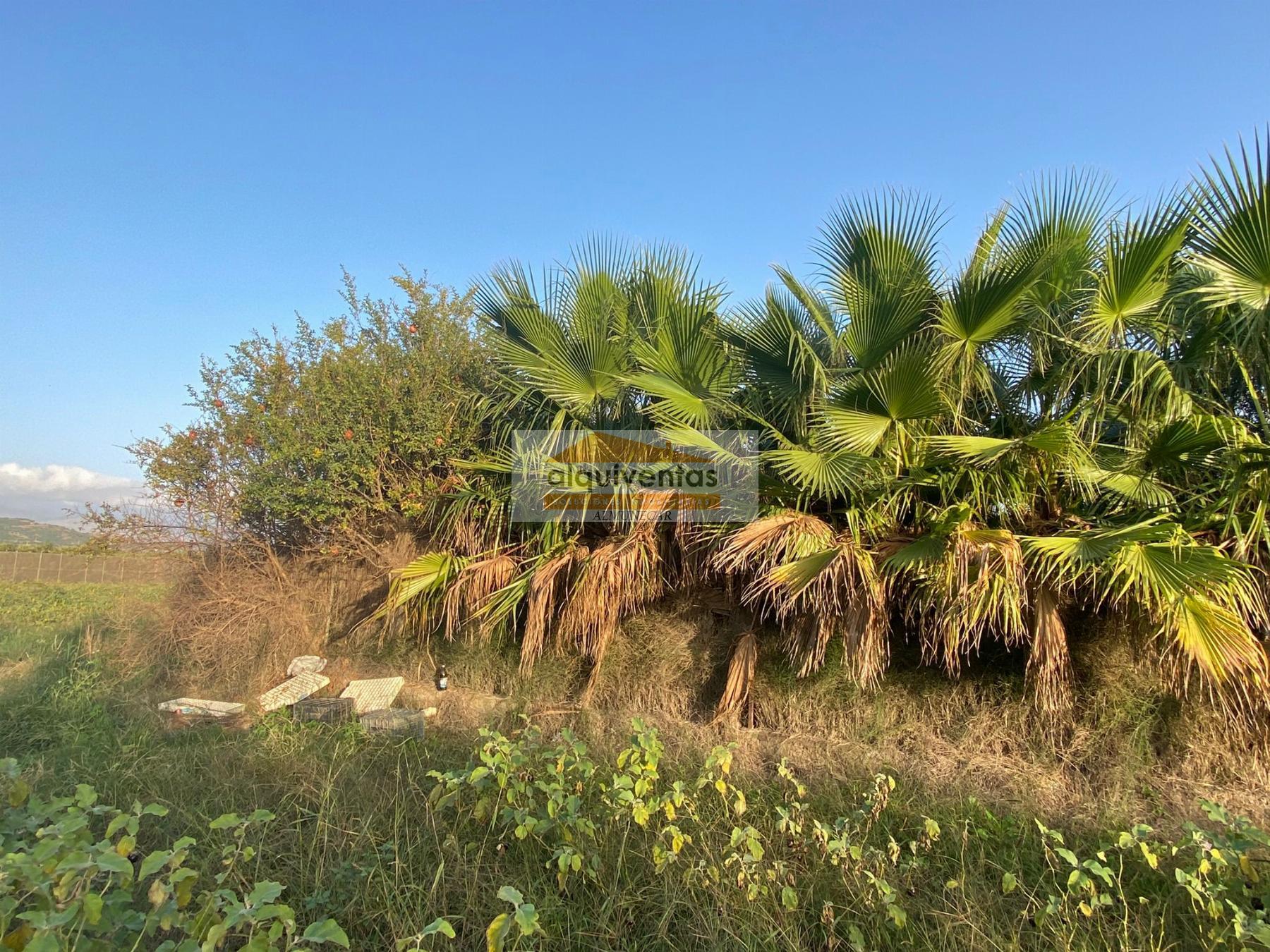Venta de finca rústica en Salobreña